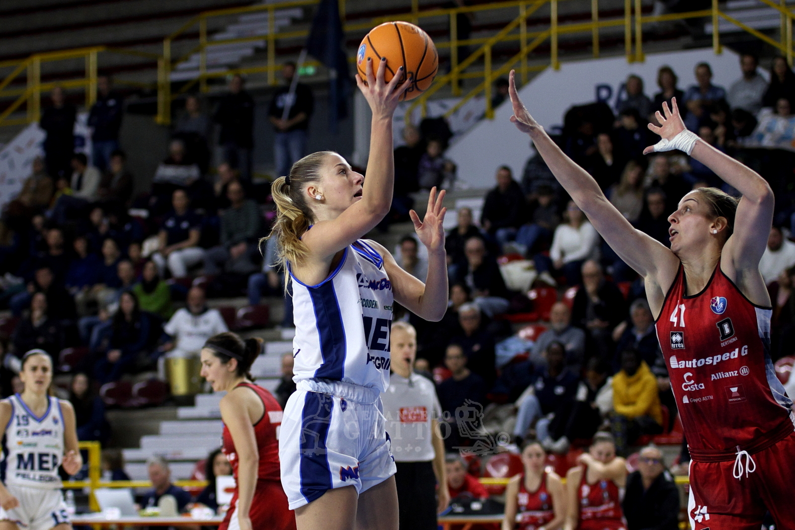 Basket a1/f Alpo-Derthona