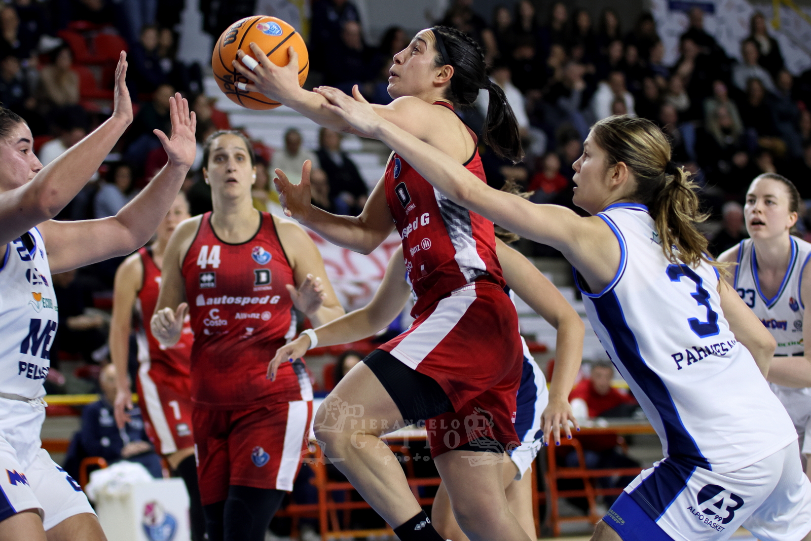 Basket a1/f: Alpo-Derthona