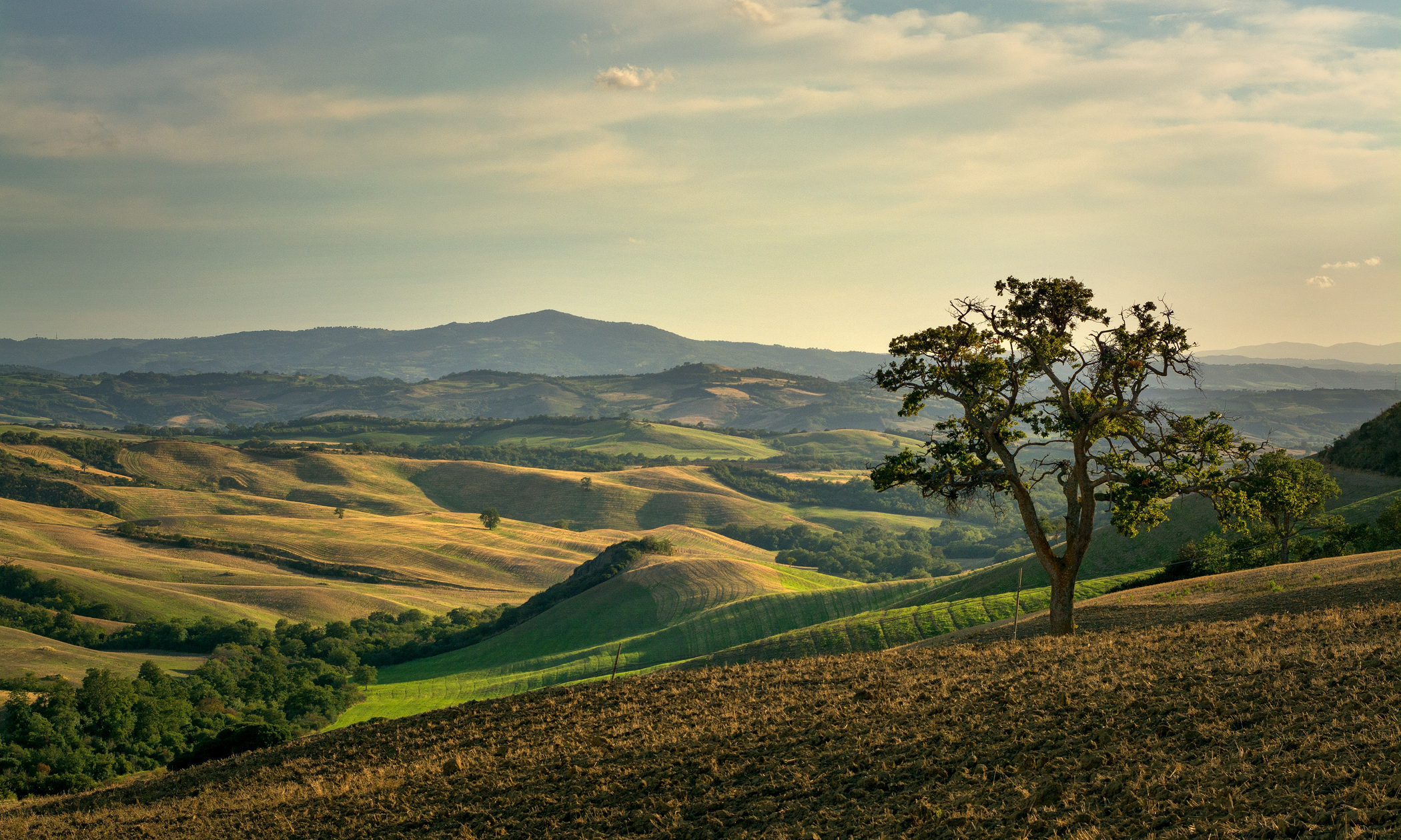 Terre di Maremma