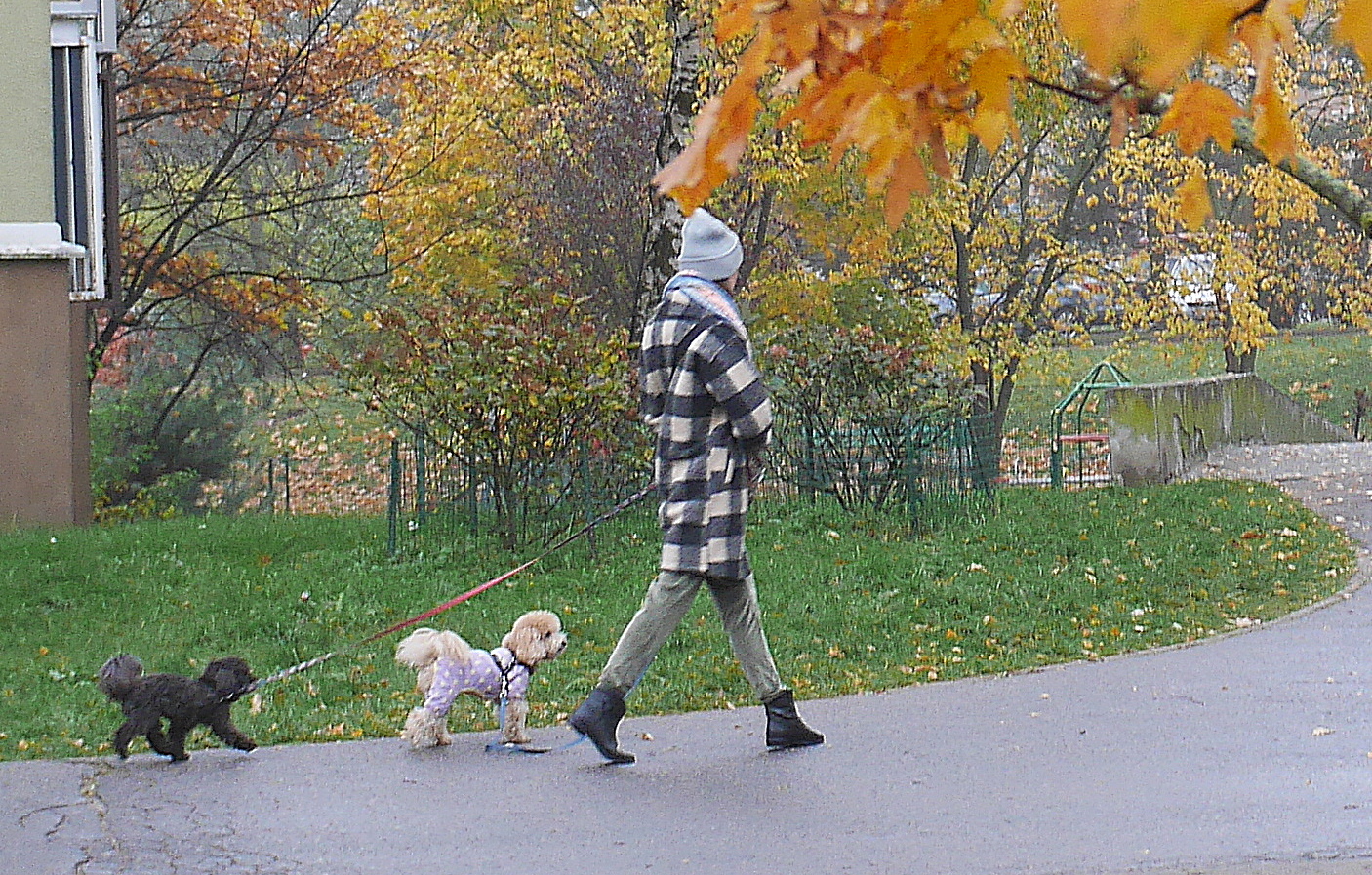 Street/Warsaw