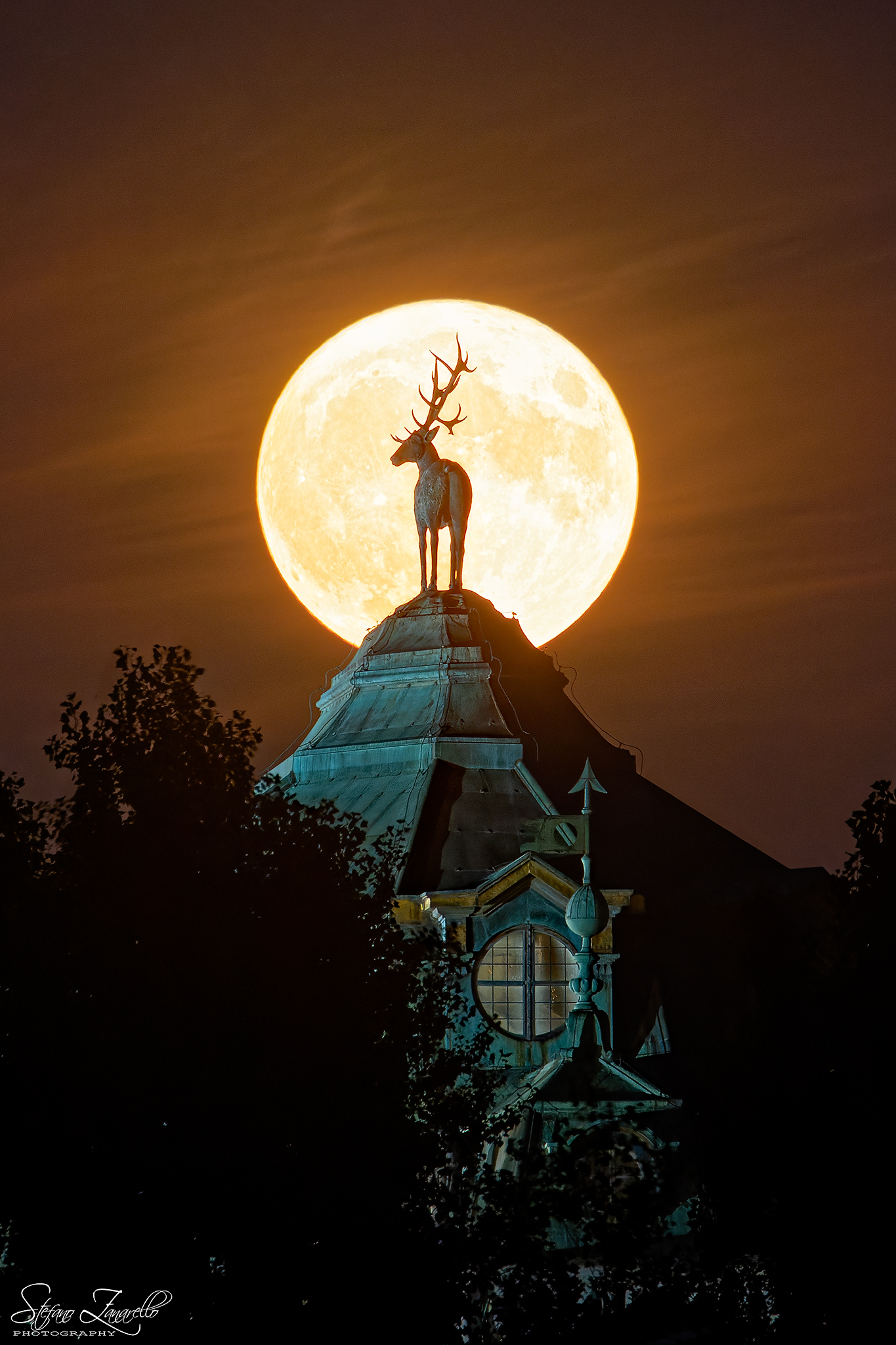 La luna piena del cervo