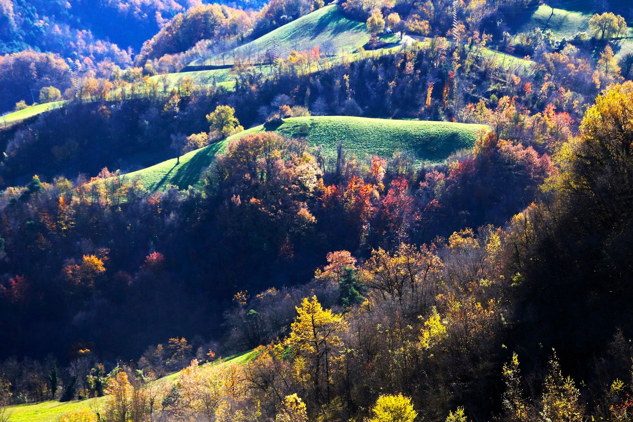Controluce autunnale