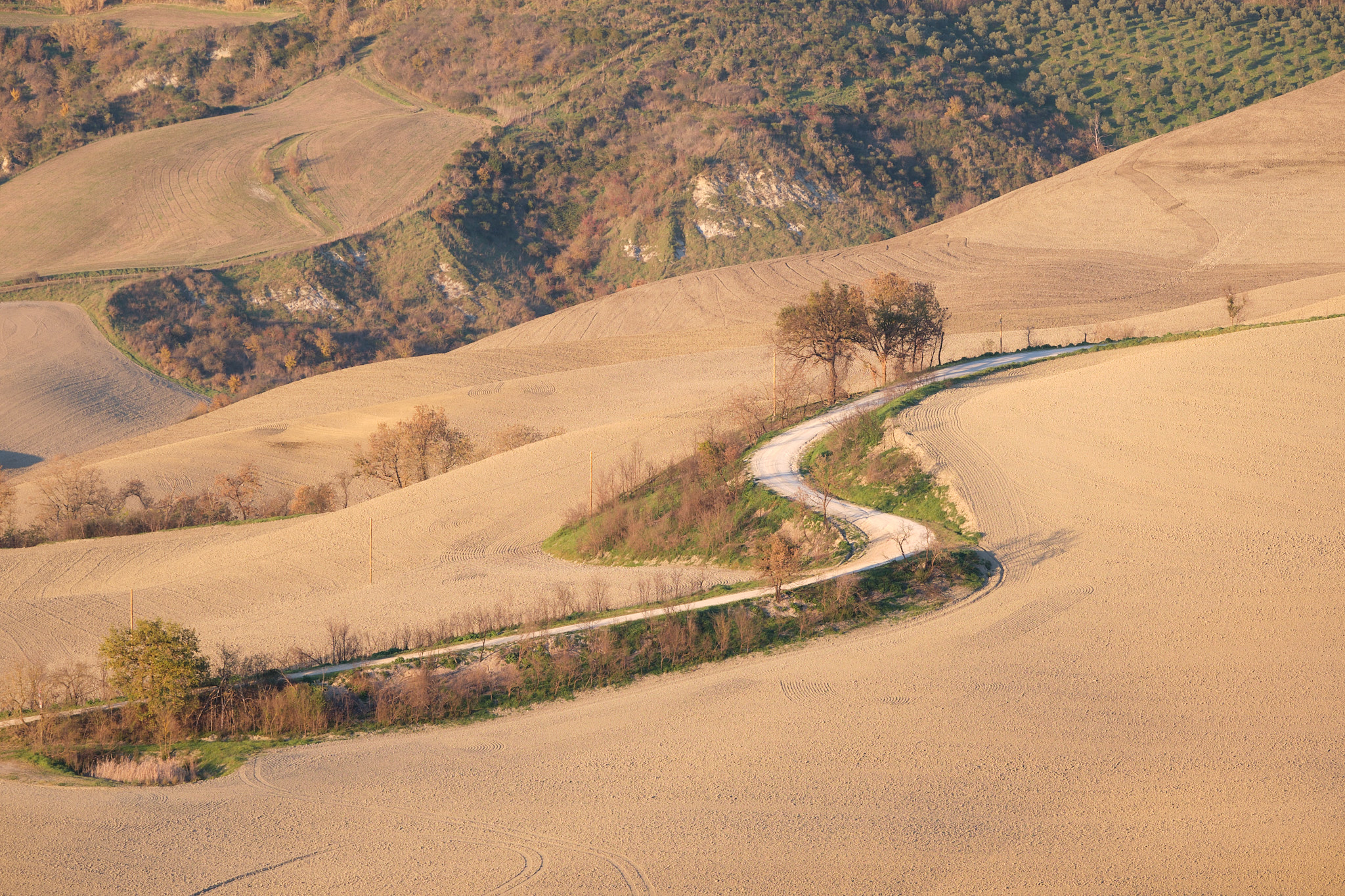 Dirt road in the Crete Senesi
