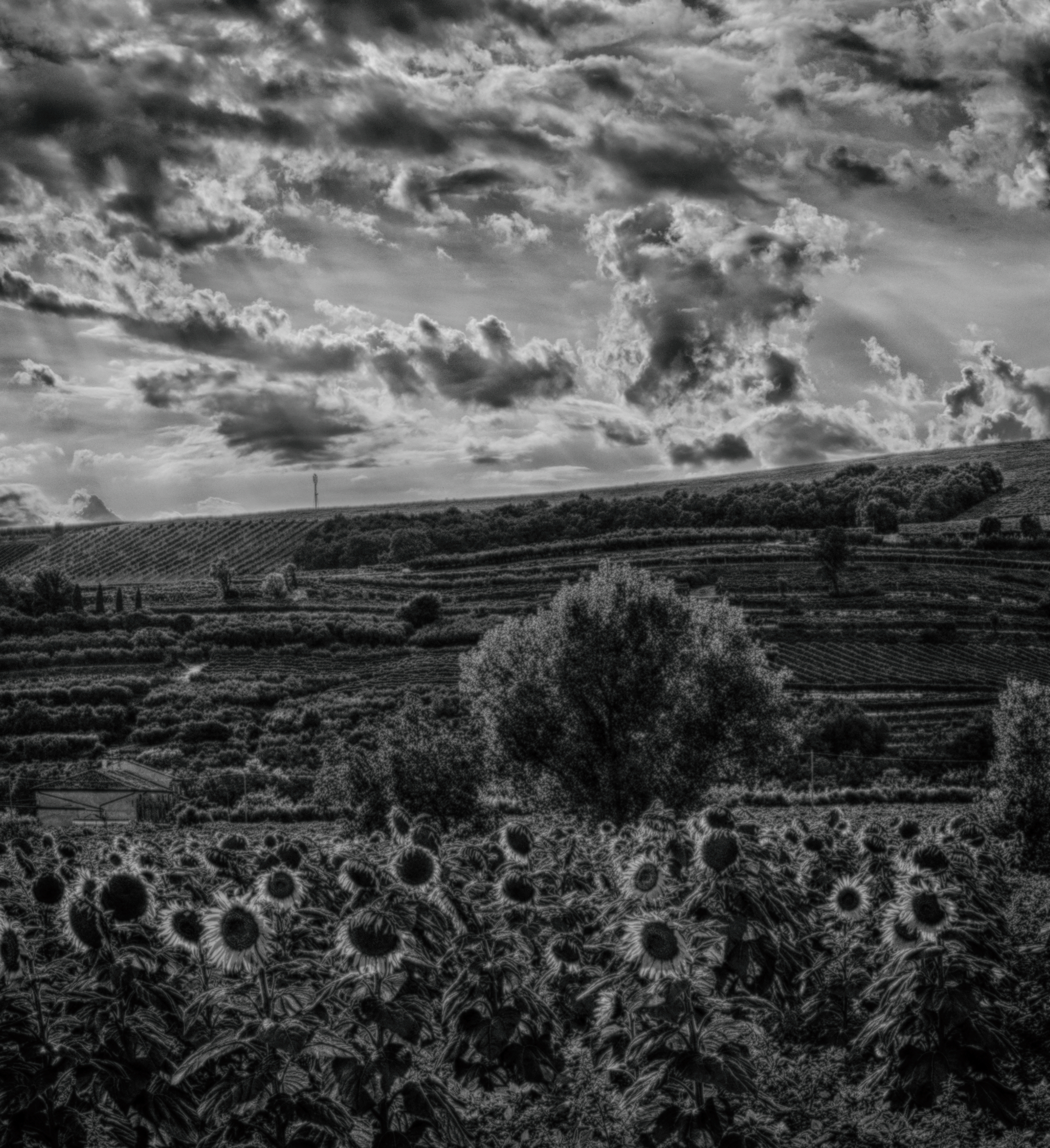 Untitled Photo