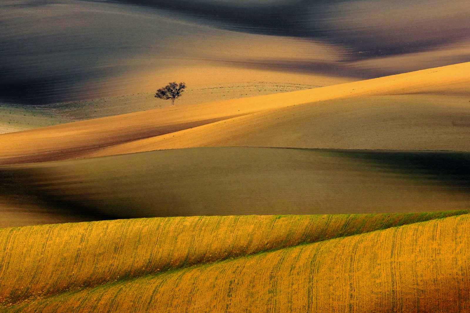 The art of agriculture.