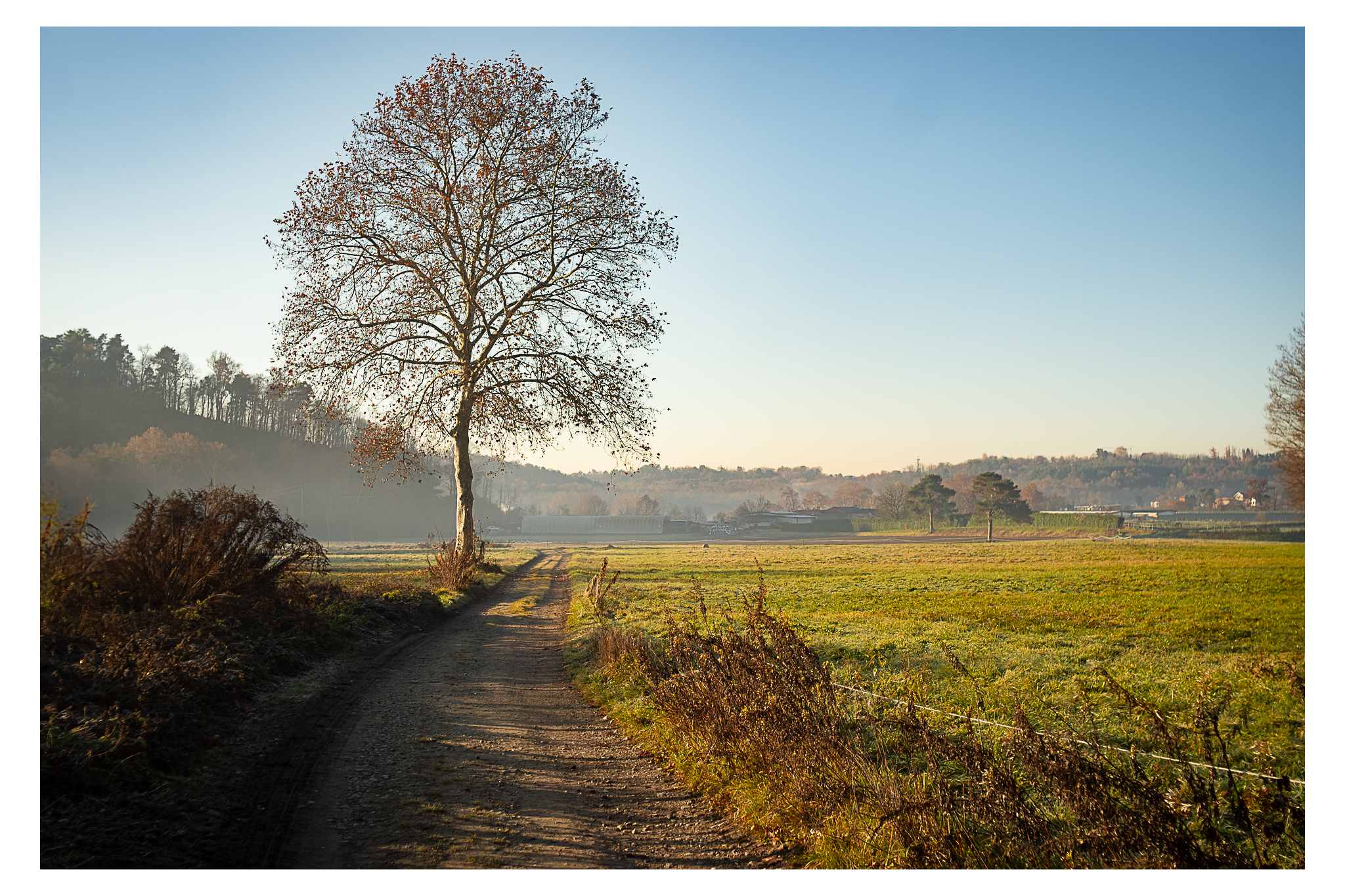 Una mattina di dicembre del '24