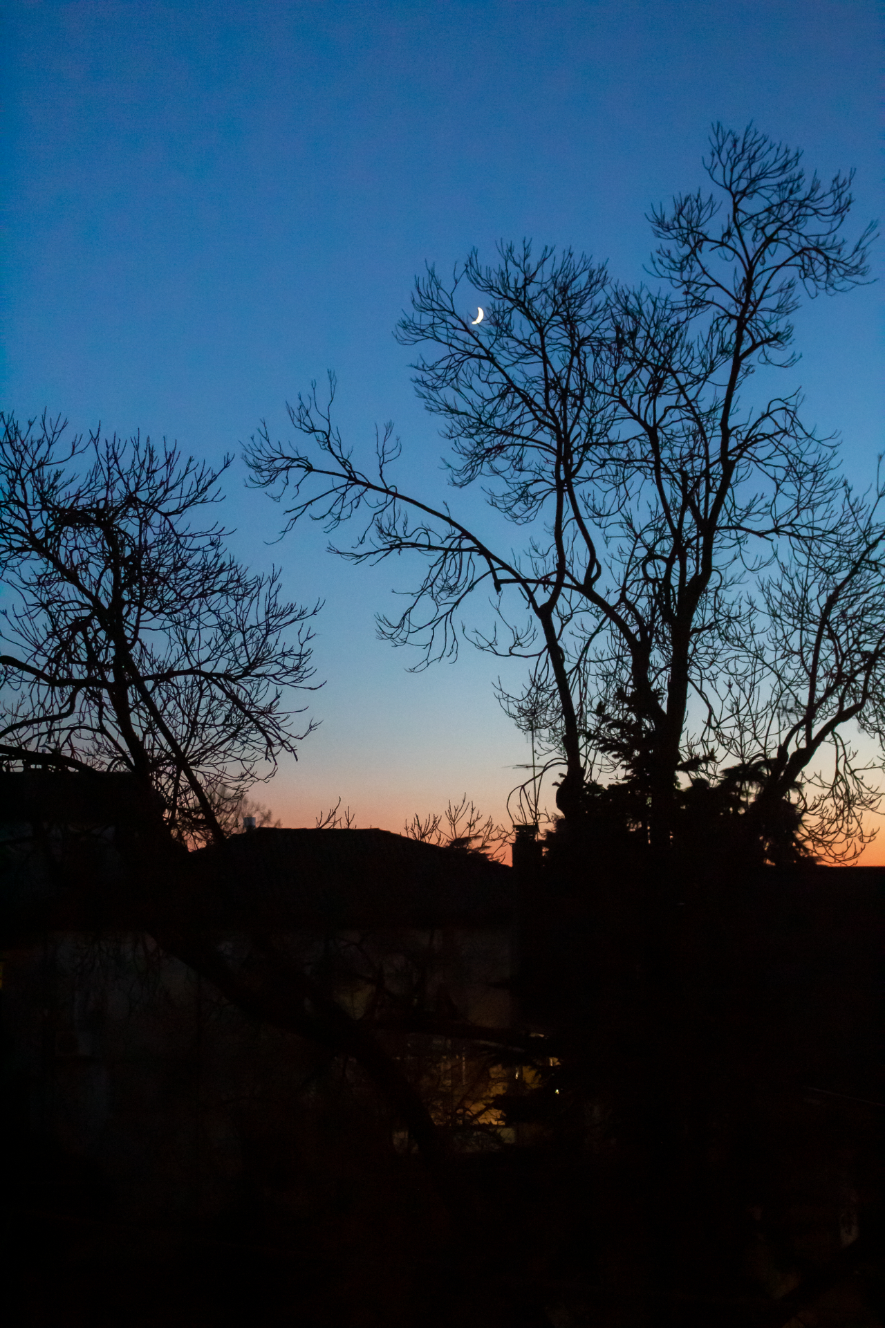Skyline