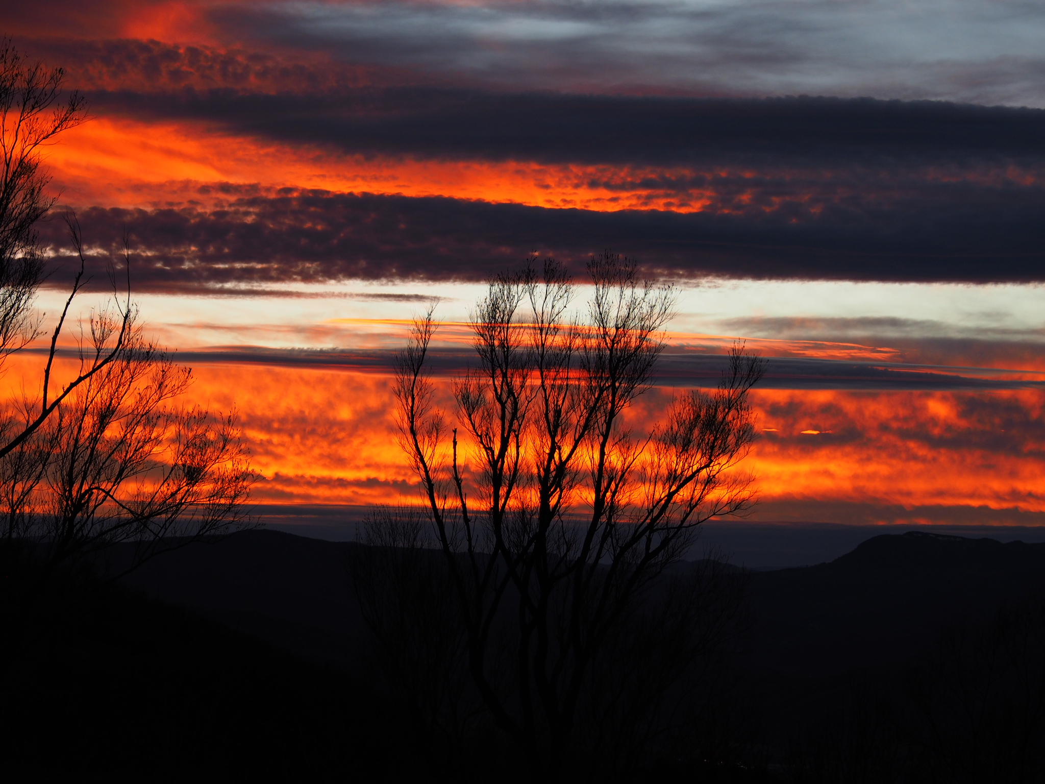 Untitled Photo