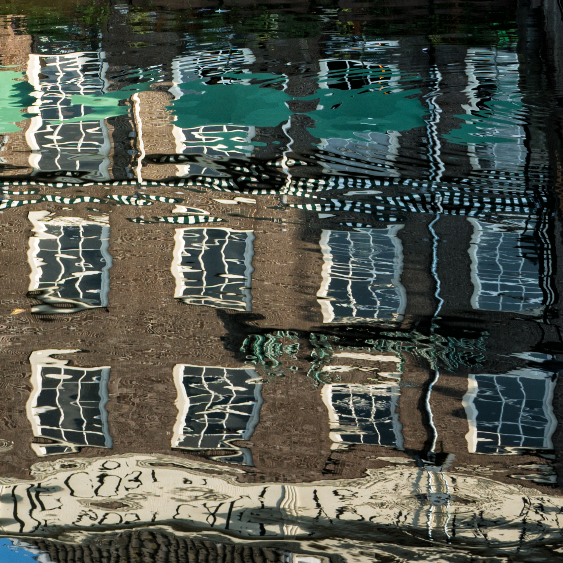 The reflected windows