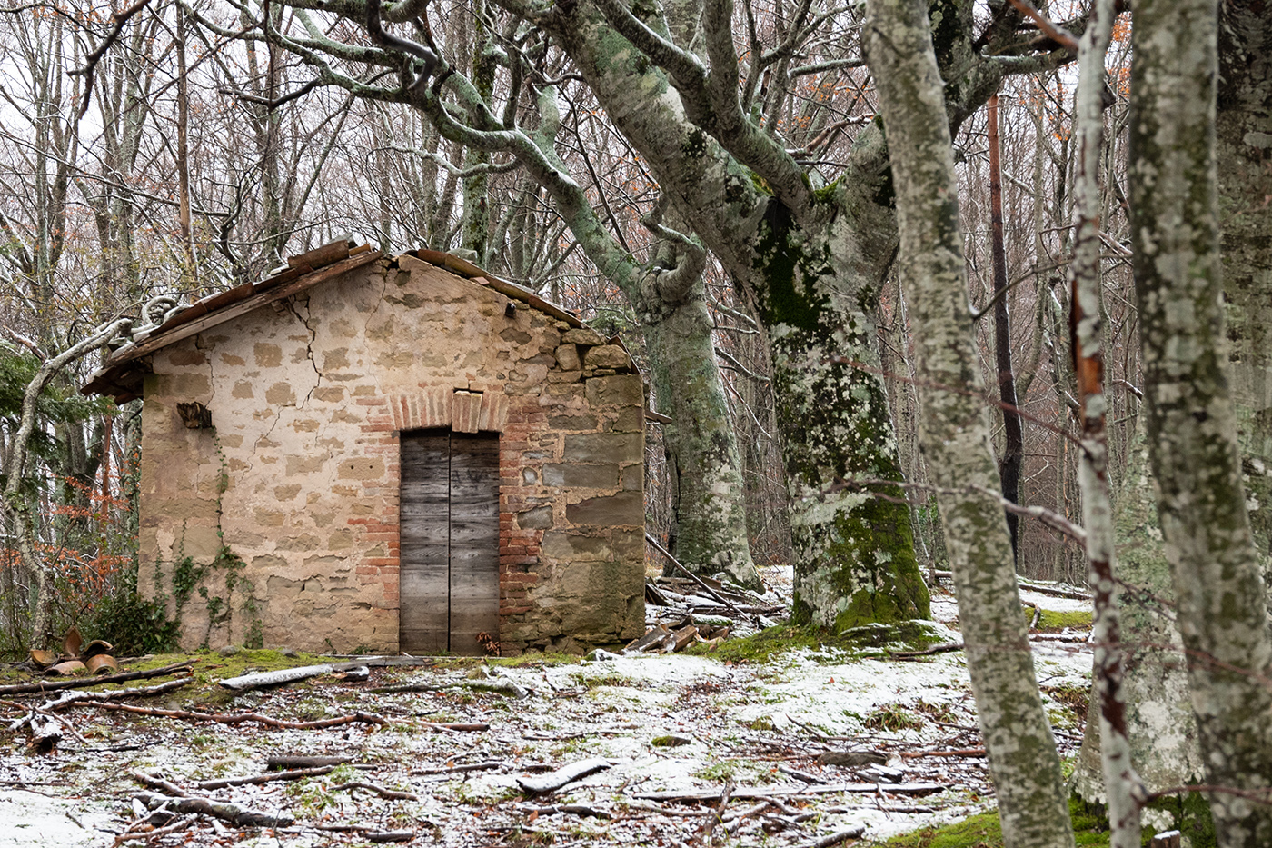 Abandoned