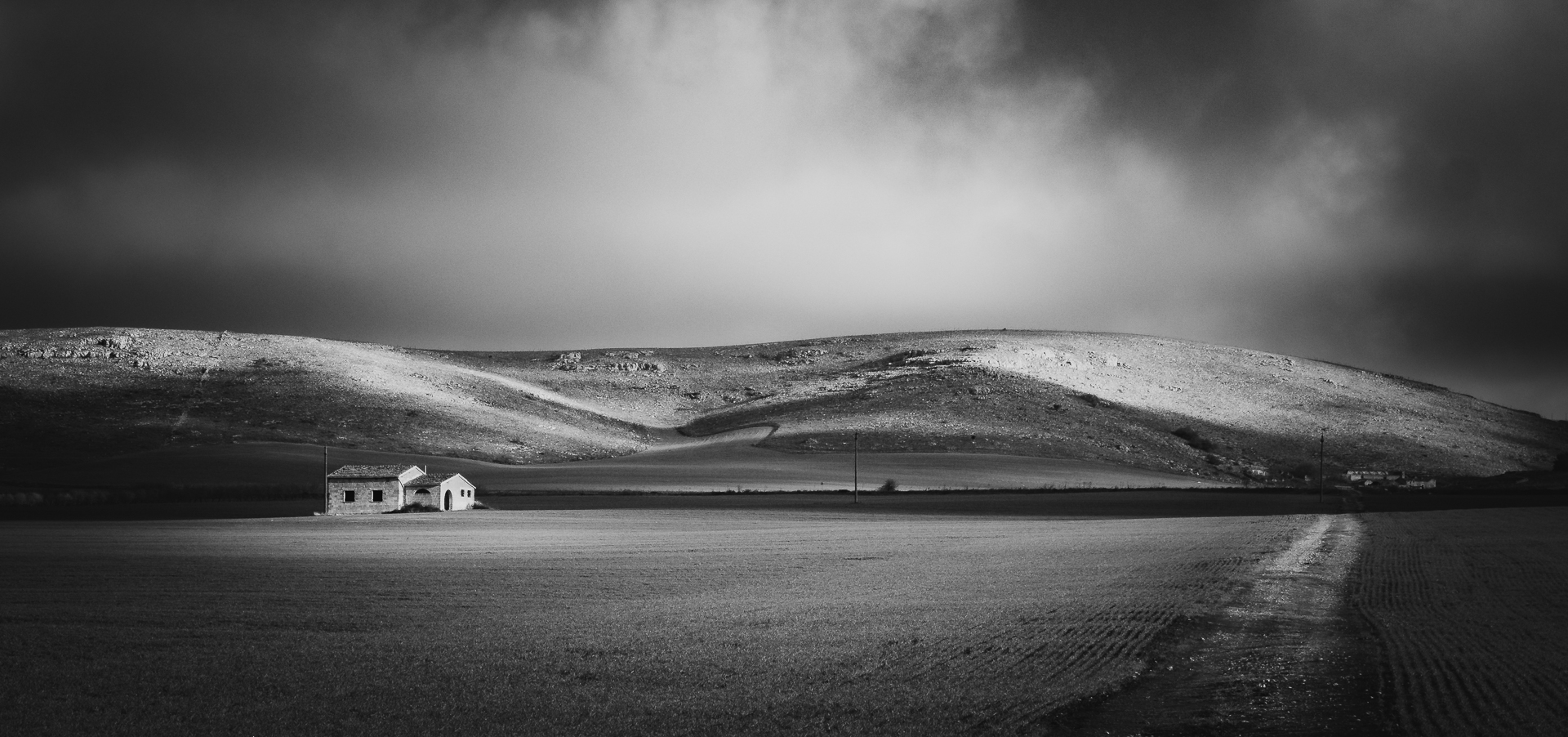Untitled Photo