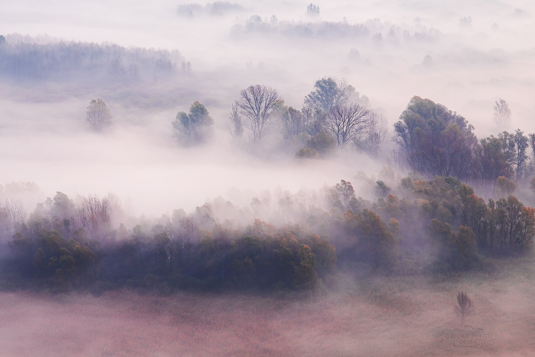 Mists
