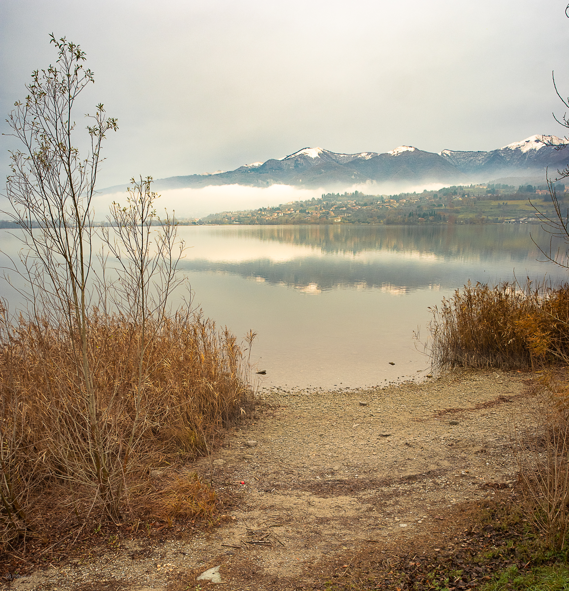 Una mattina di dicembre del '24