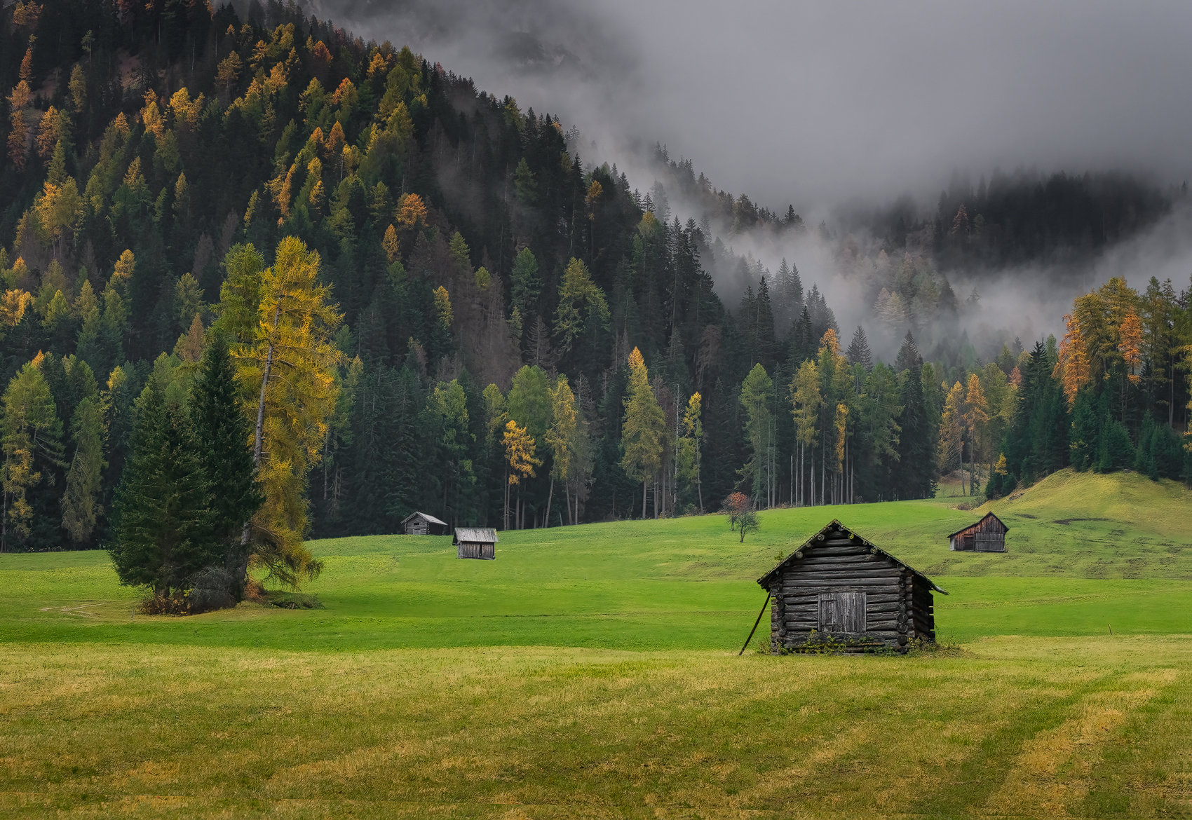 Autumn alpine pasture