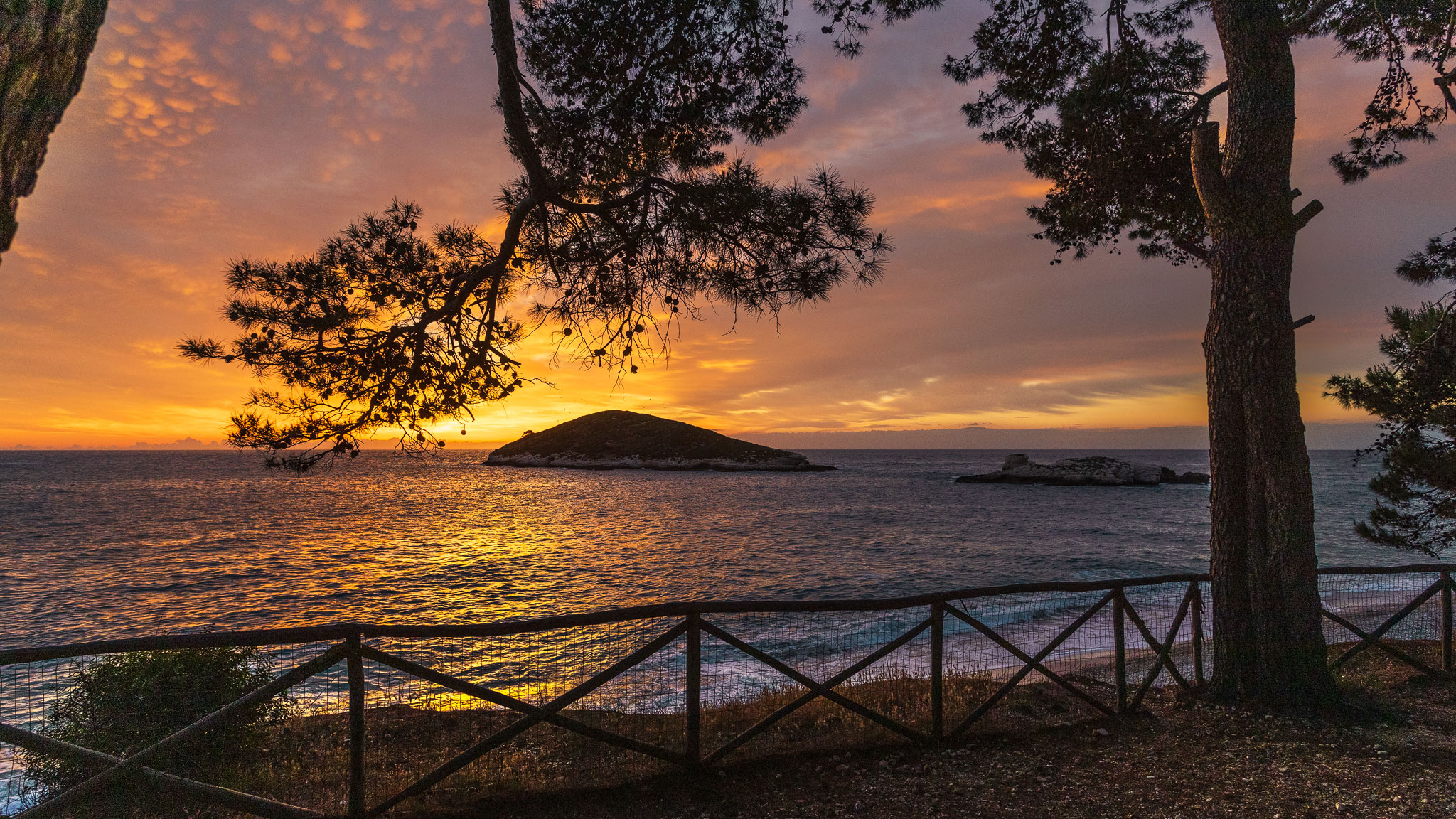 alba baia di campi vieste (fg)