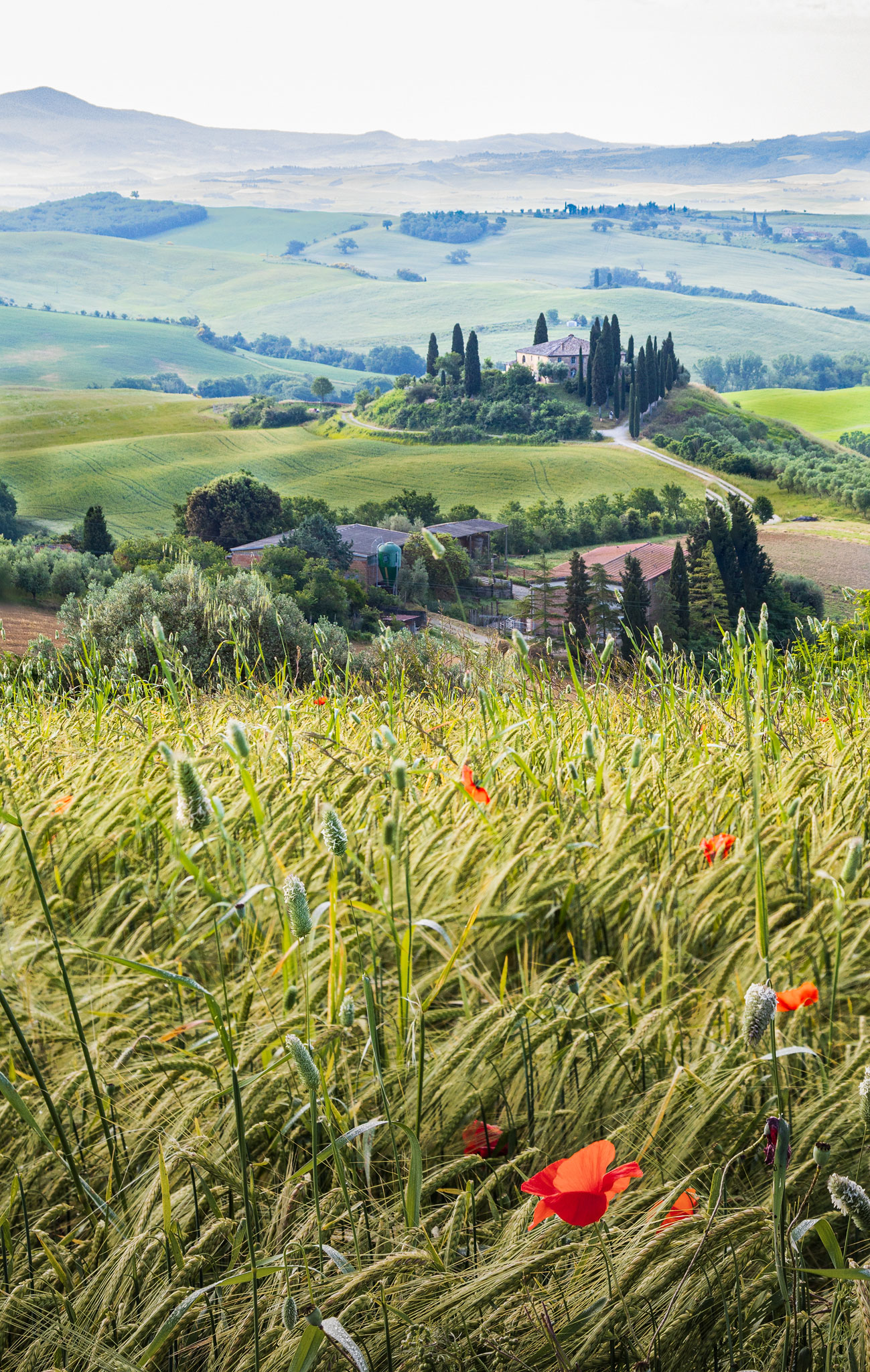 podere belvedere san quirico