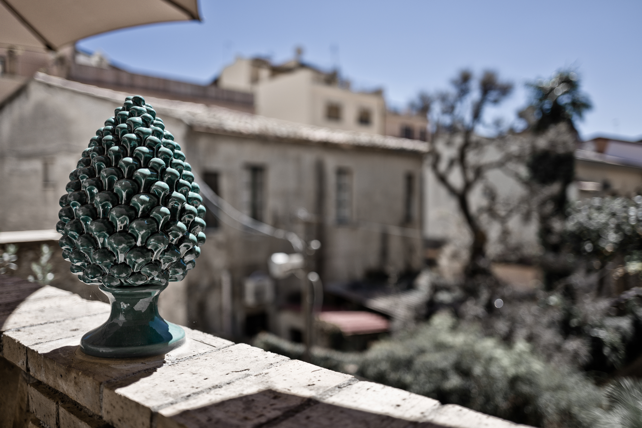The Pinecone
