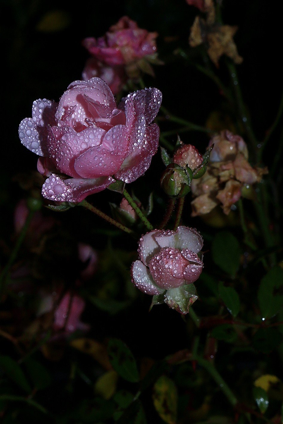 Piccolo fiore con abito di diamanti