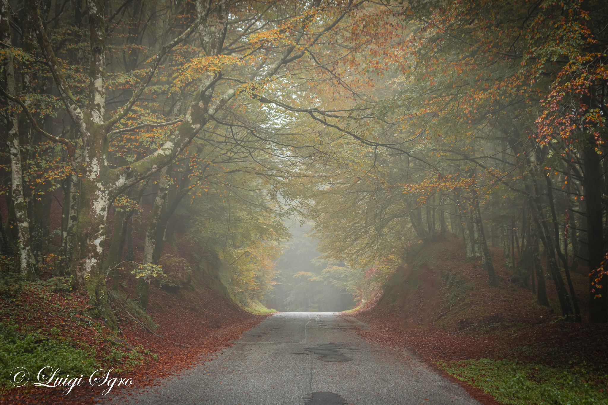 Light mist on the mountain road