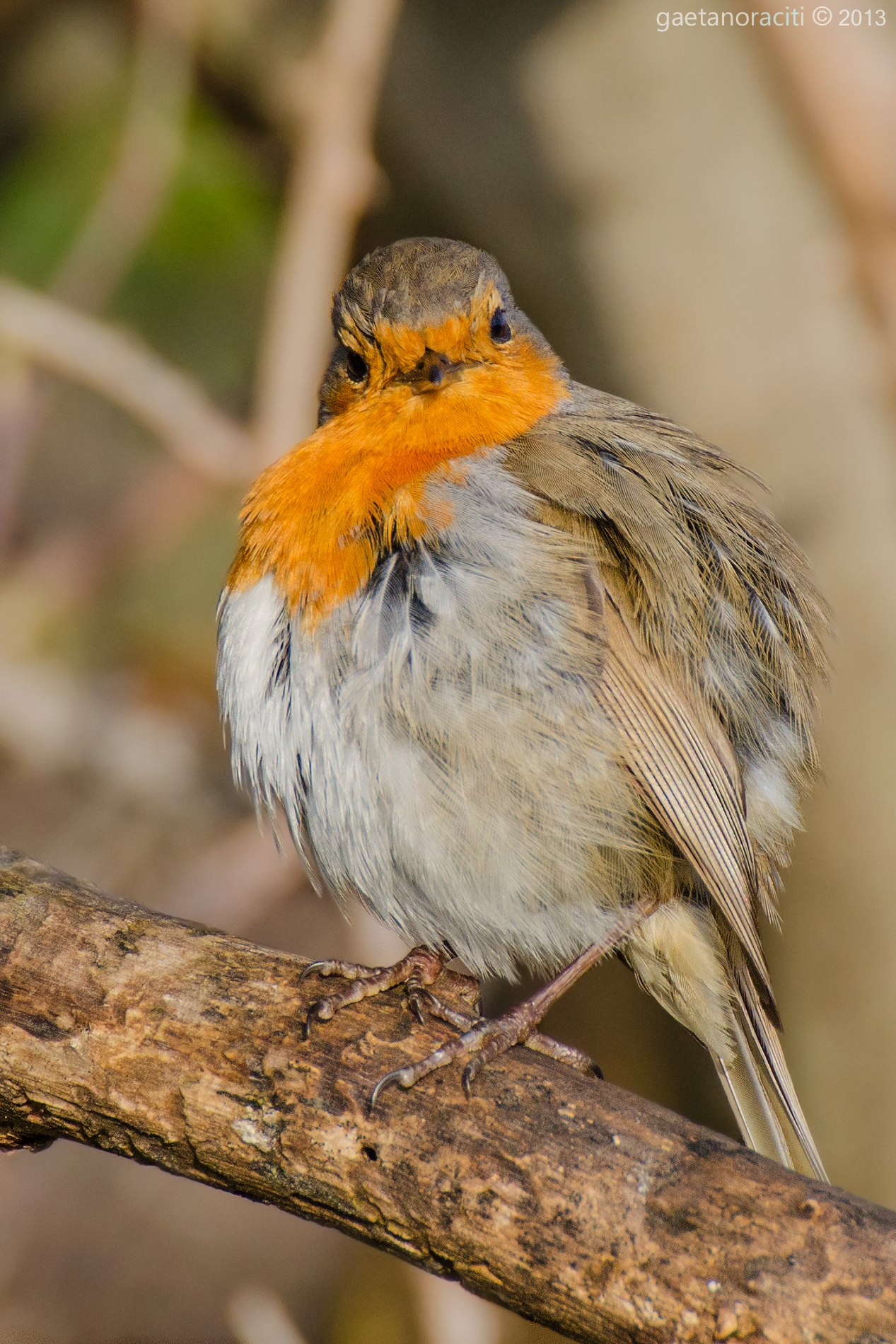 Do not make me angry .....