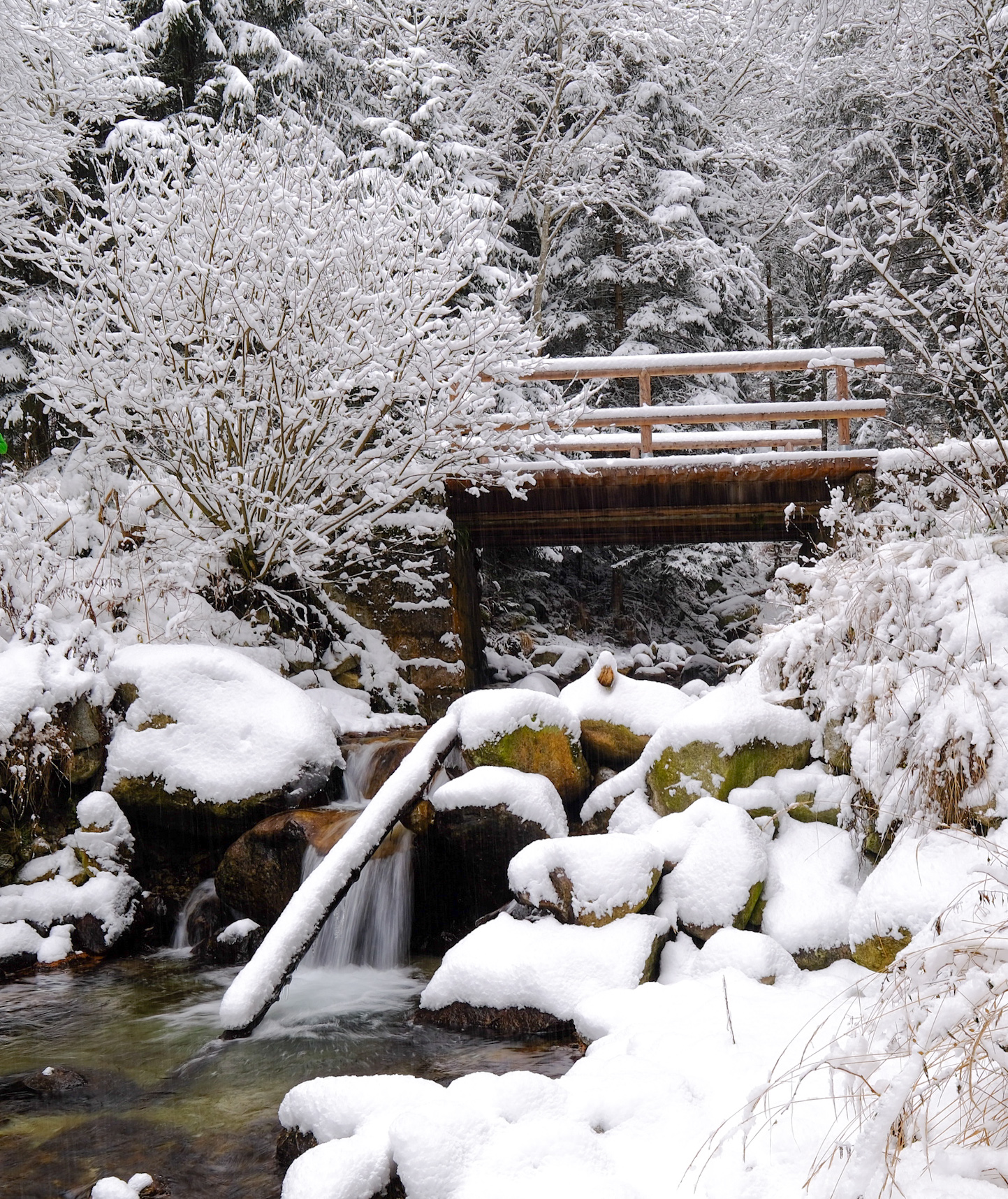 Prima neve nel lagorai