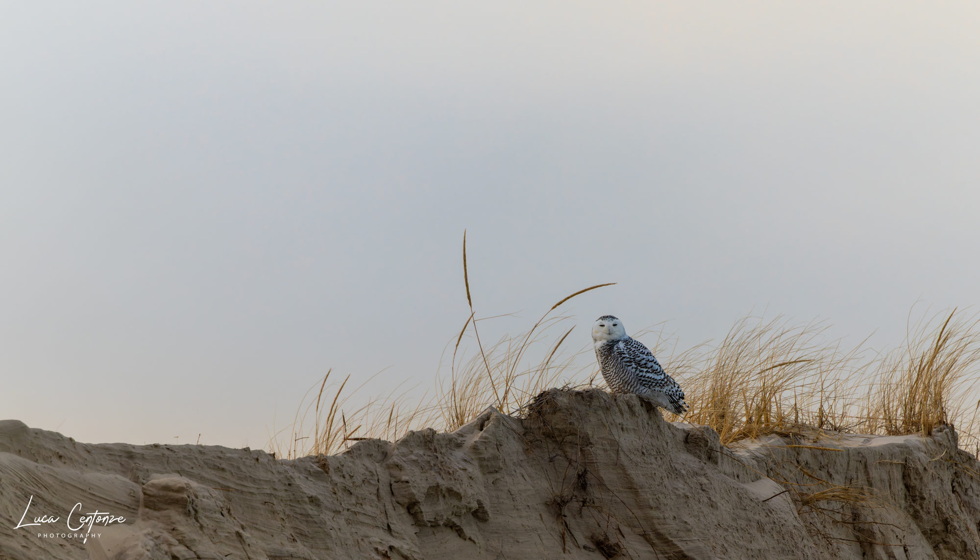 Sunset over the dunes