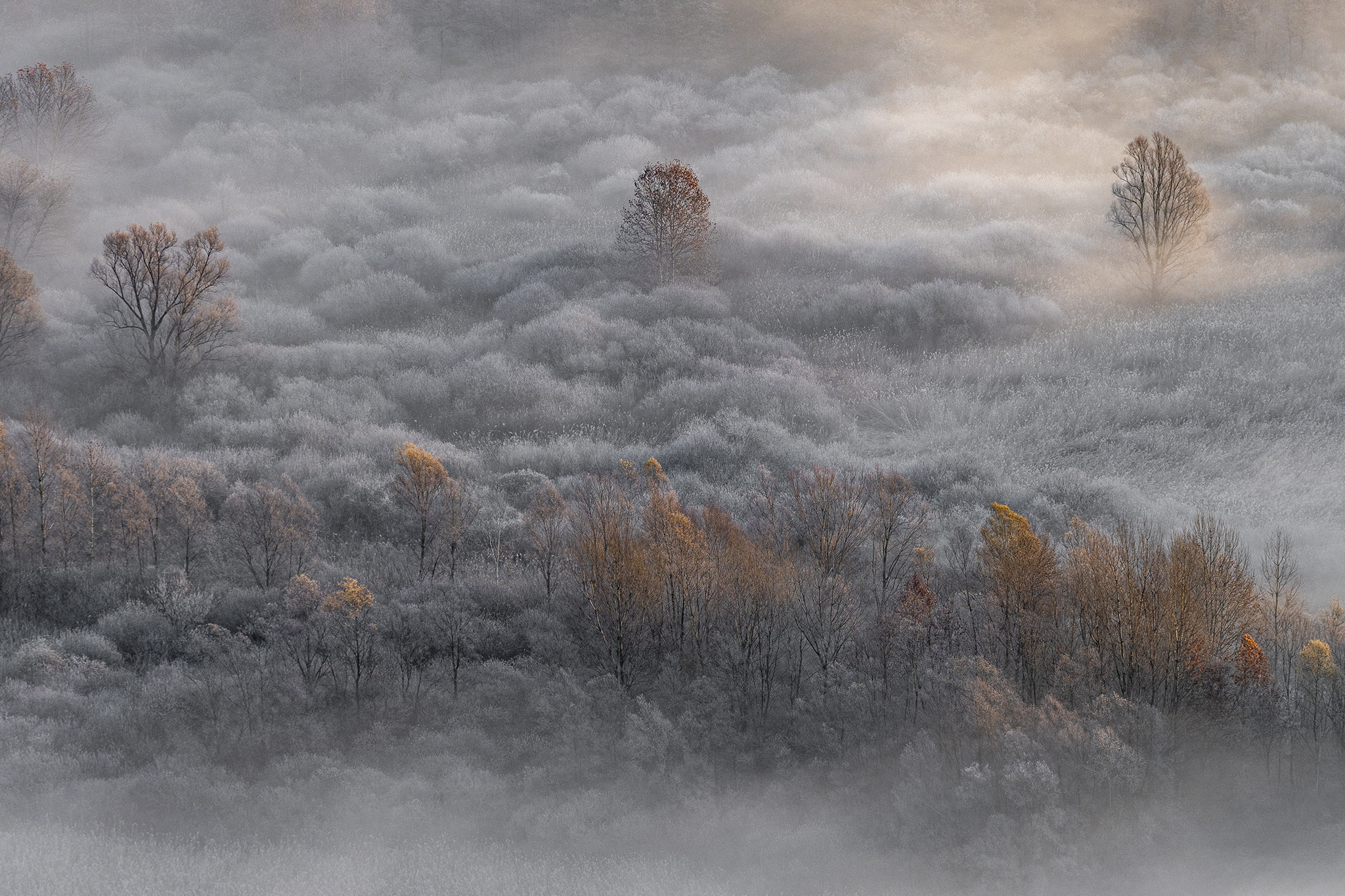 Nel mondo di un solo colore.......