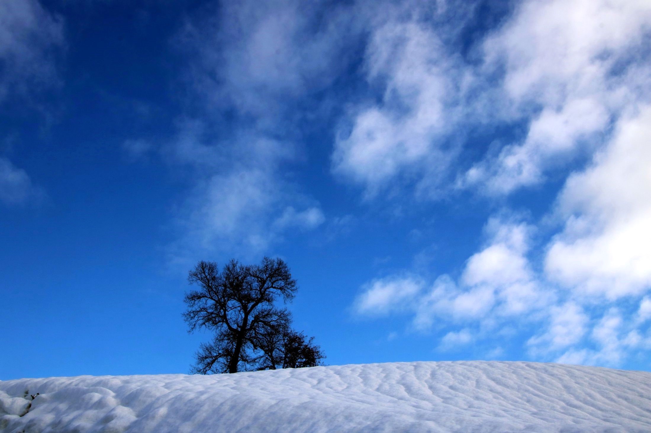 Between snow and clouds