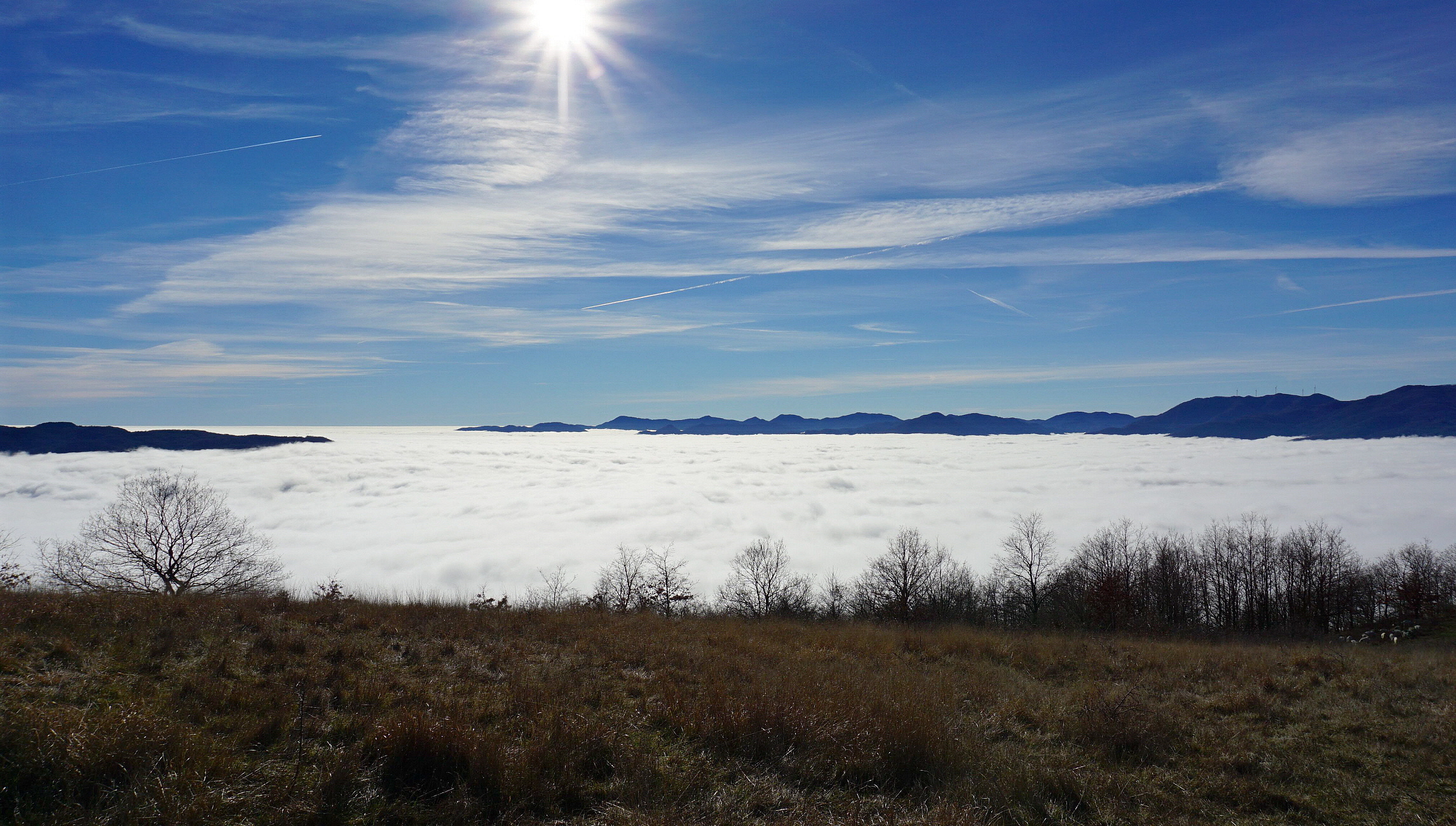 Un bel tuffo nel Caligo!