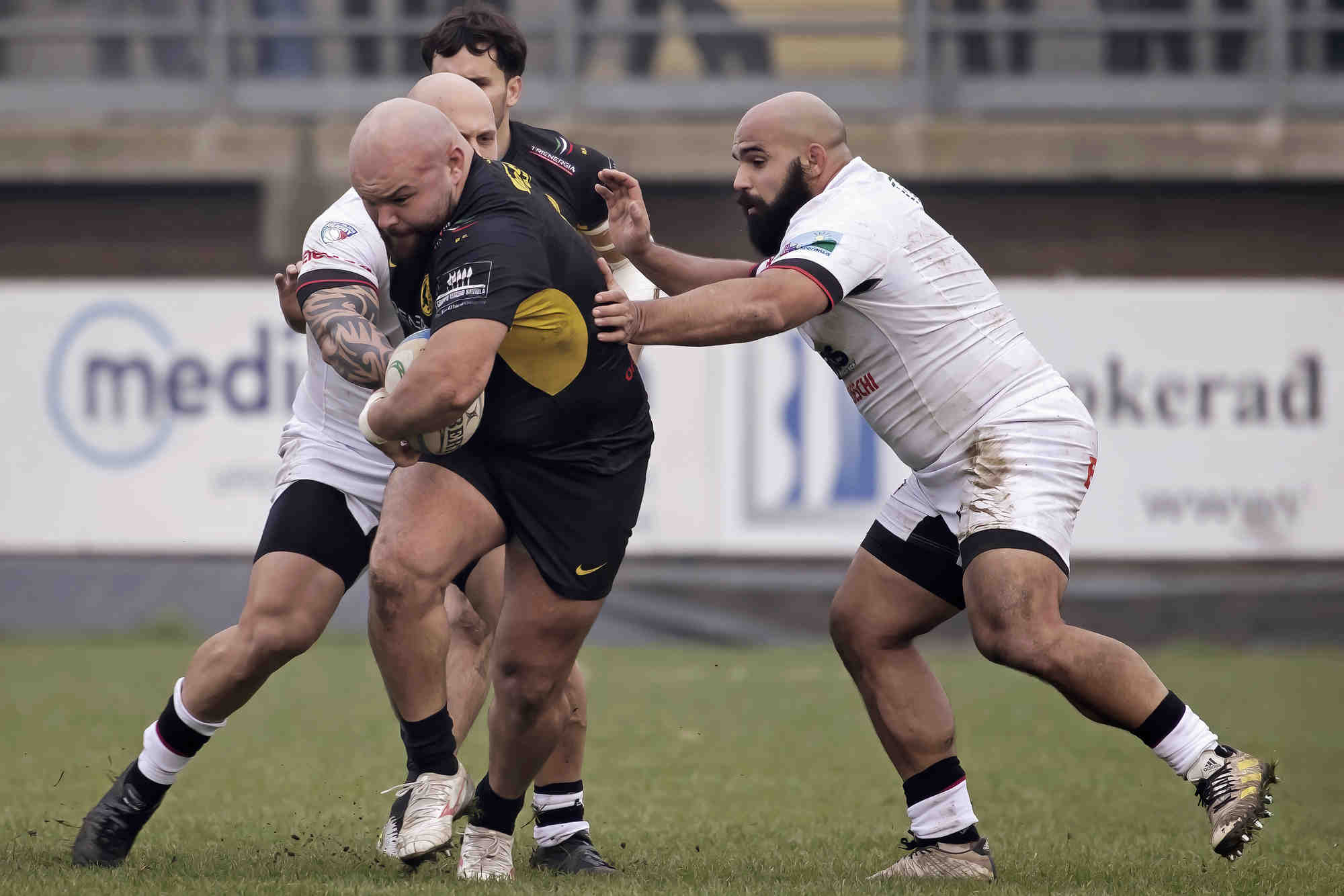Rugby Elite - Viadana vs Petrarca