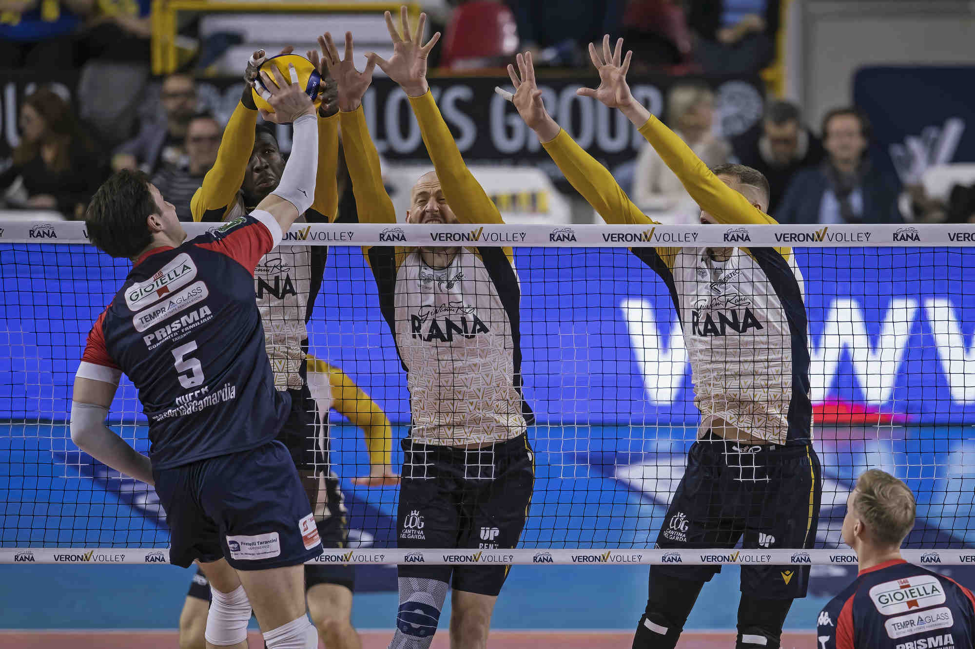 Volley - Rana Verona vs Taranto