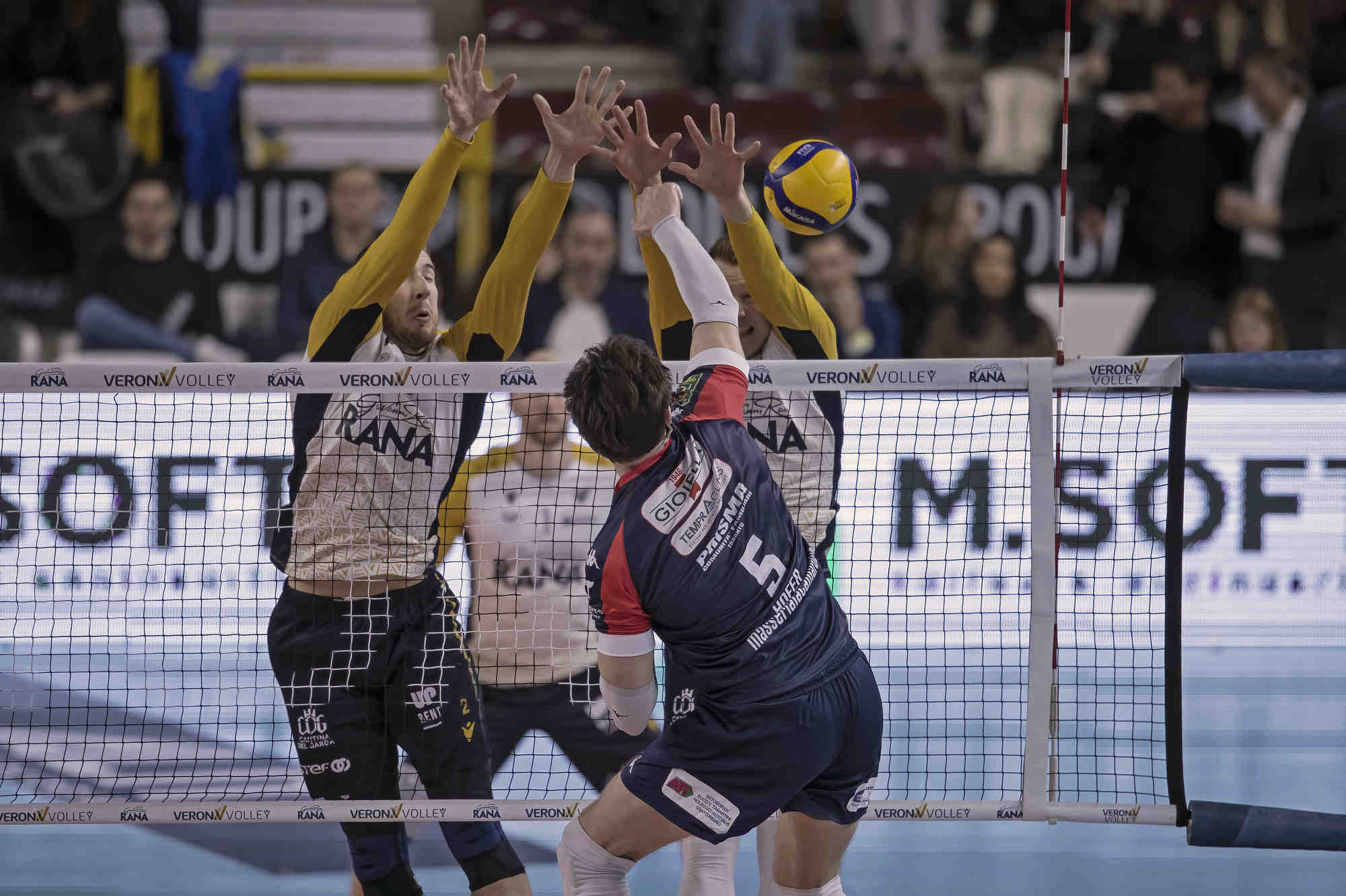 Volley - Rana Verona vs Taranto
