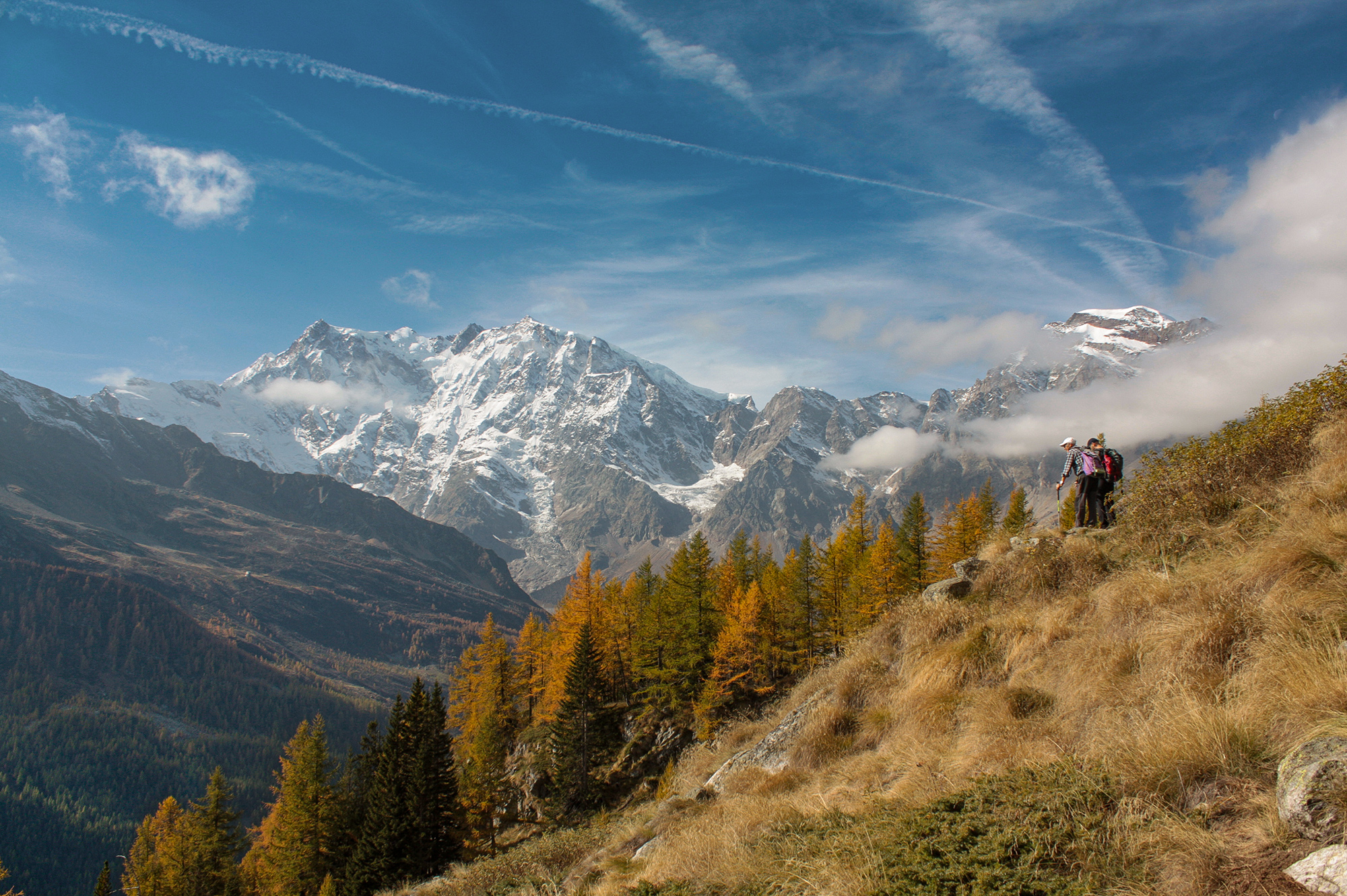 Admiring the Landscape