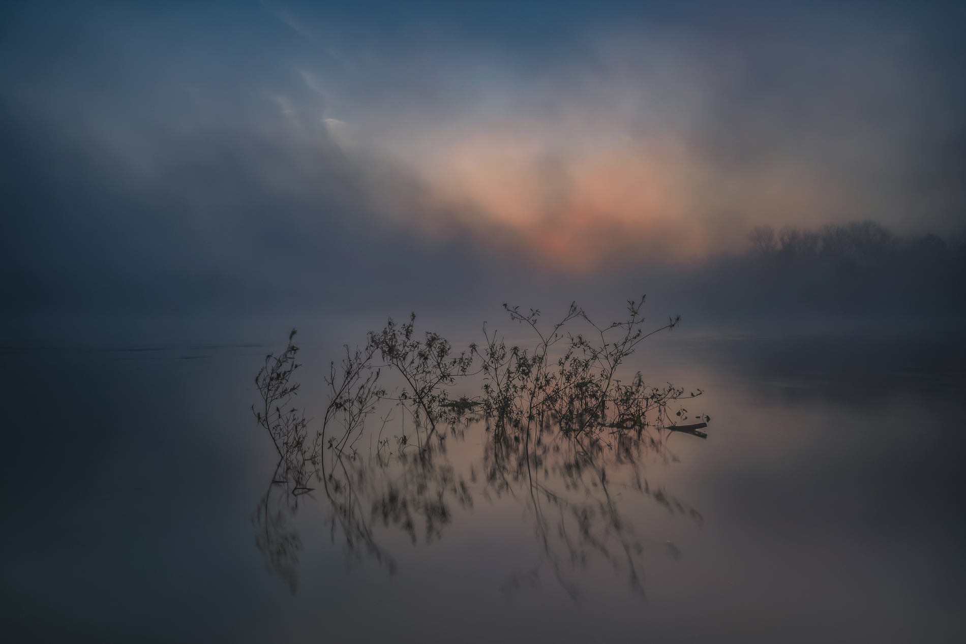 Untitled Photo