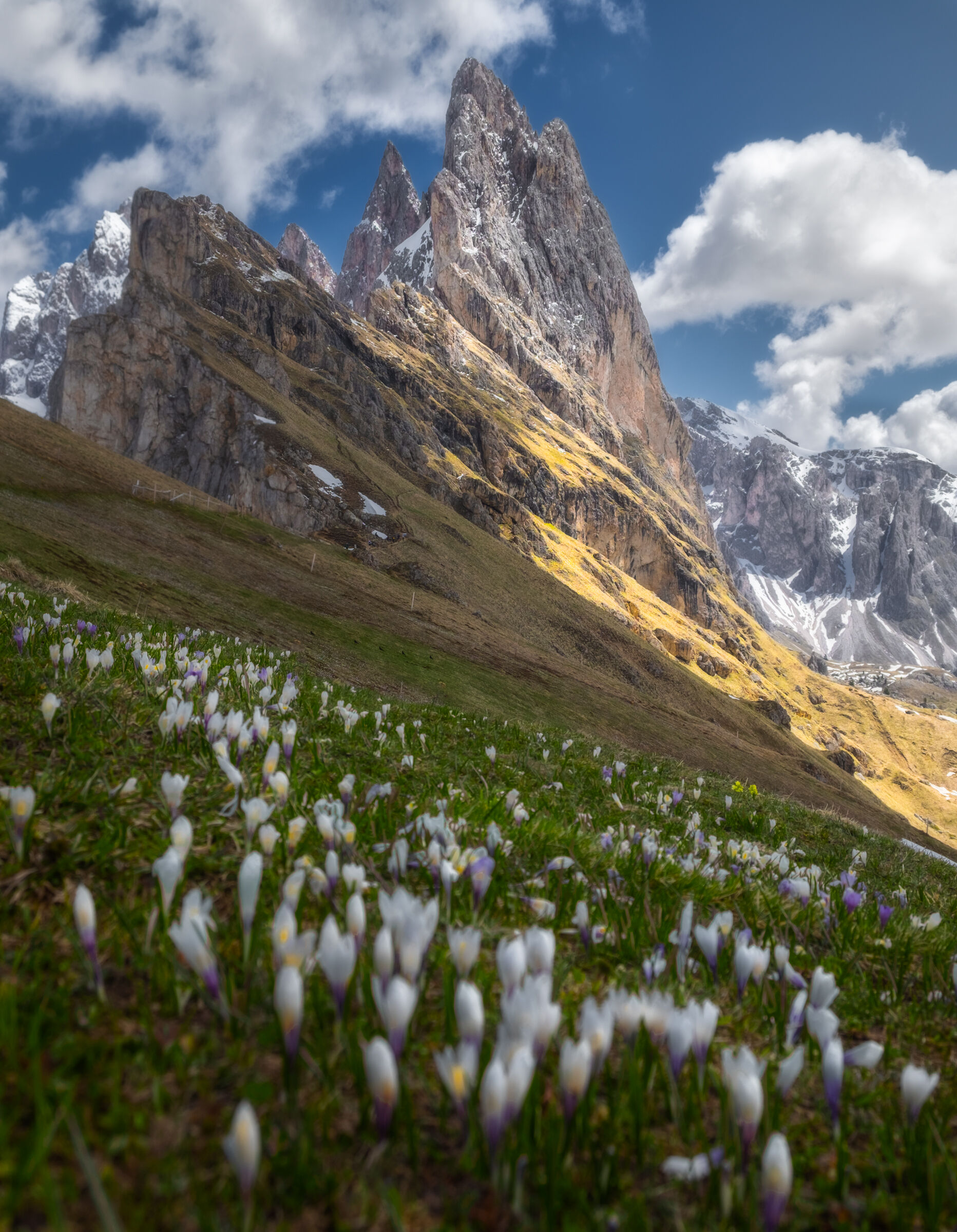 Seceda
