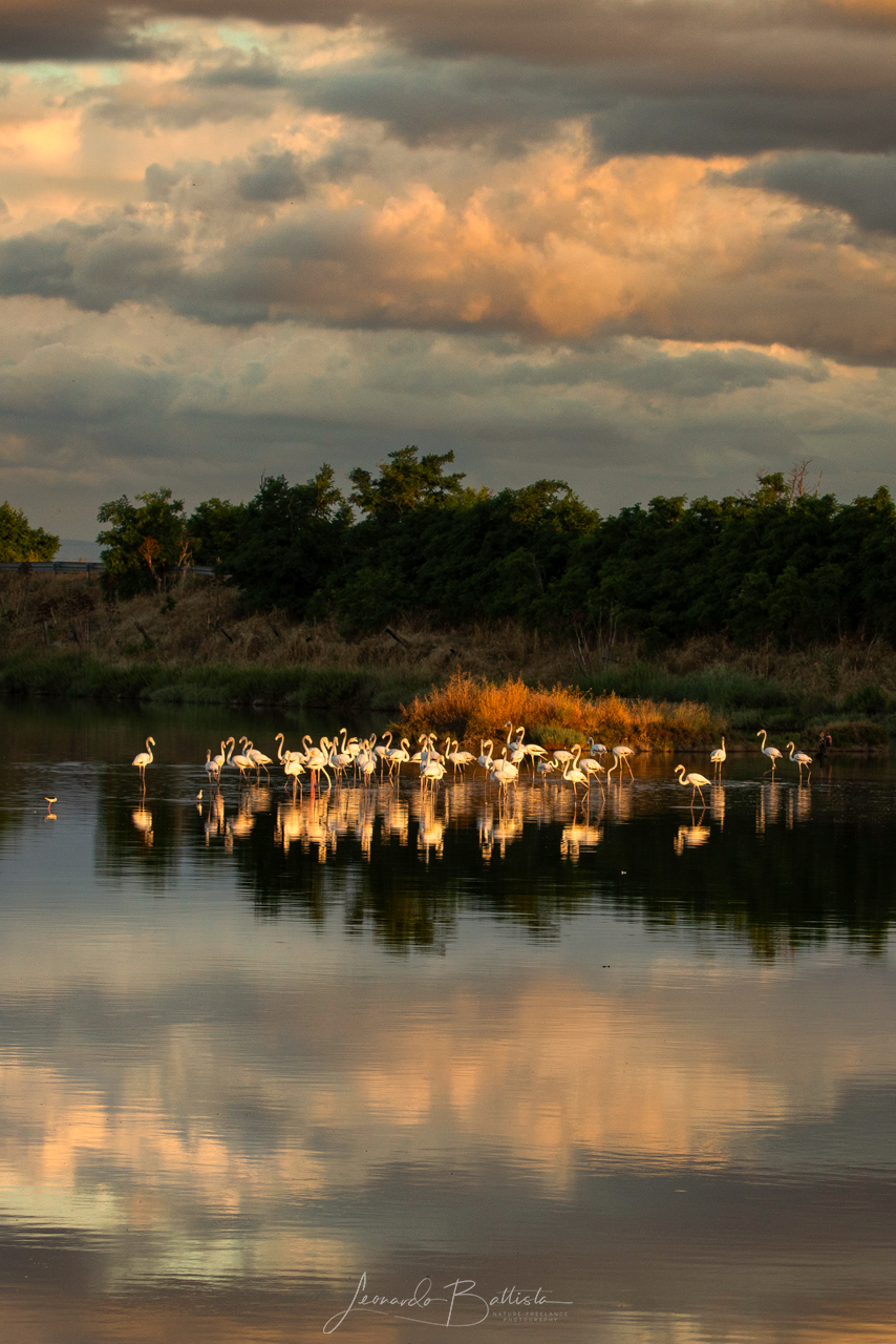 The last rays of light