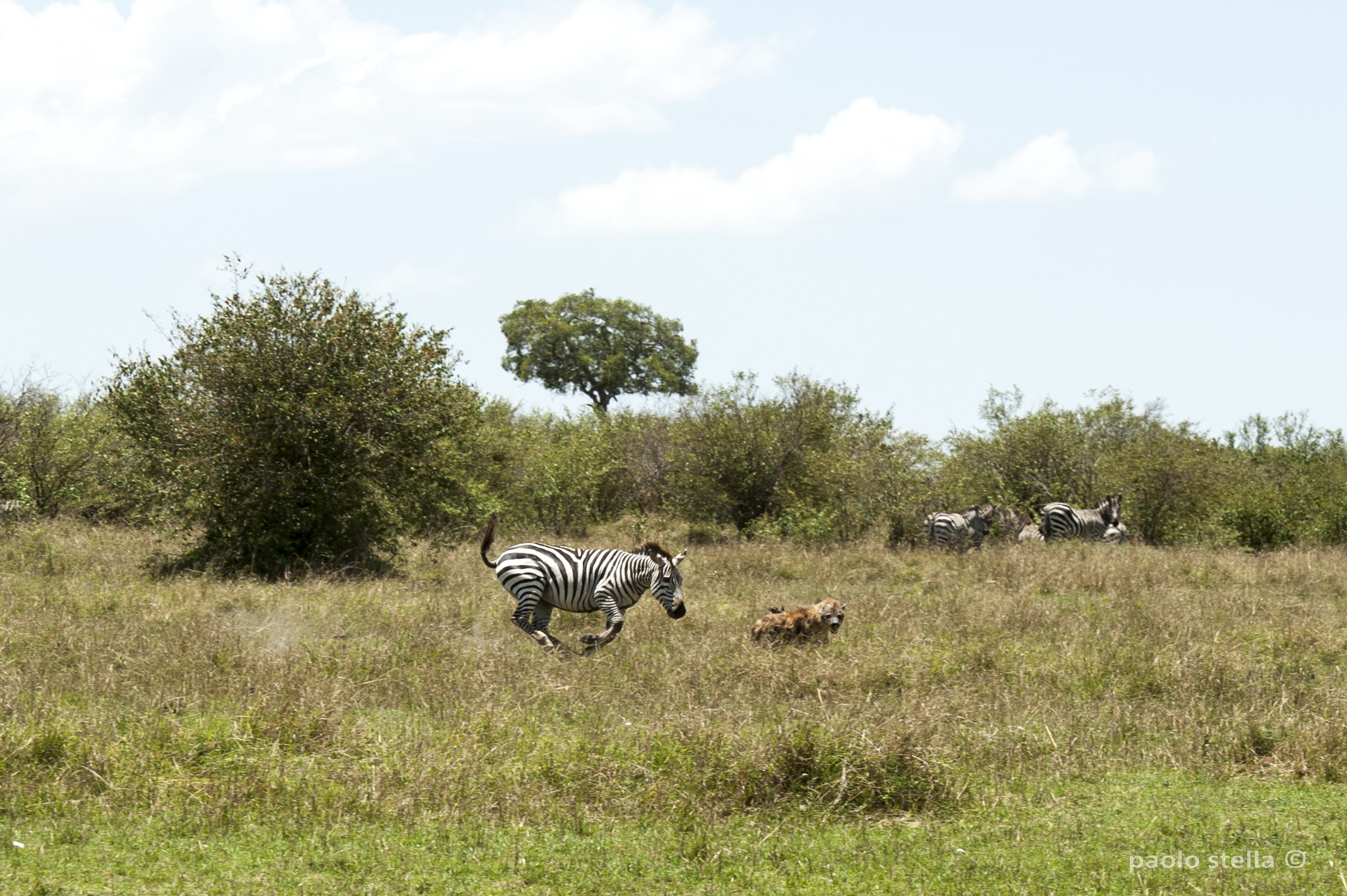 if I catch you .......