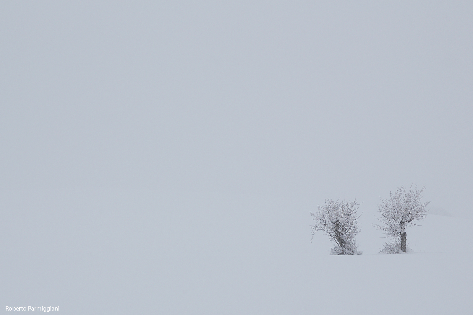 White Quiet