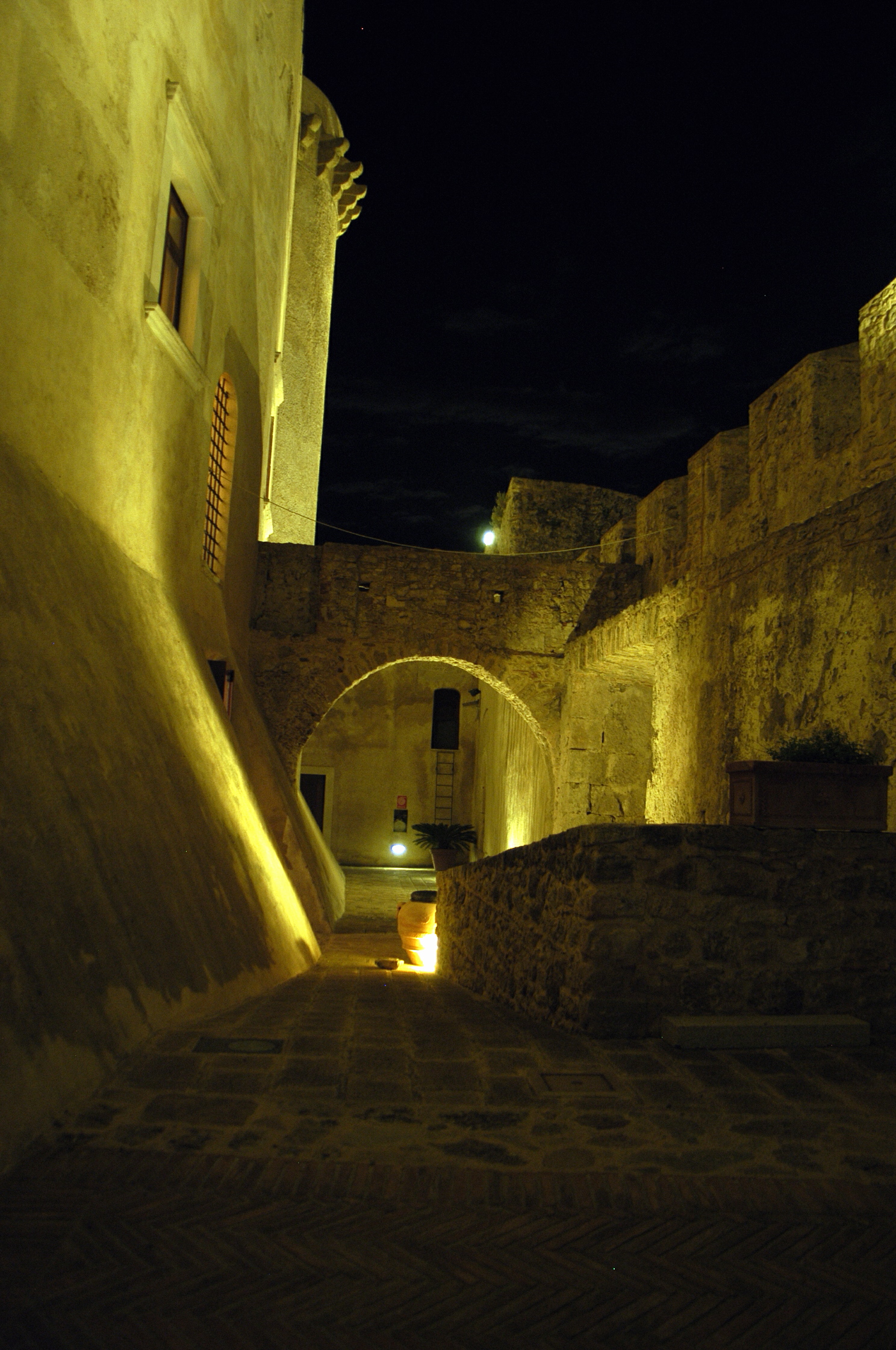 the castle at night