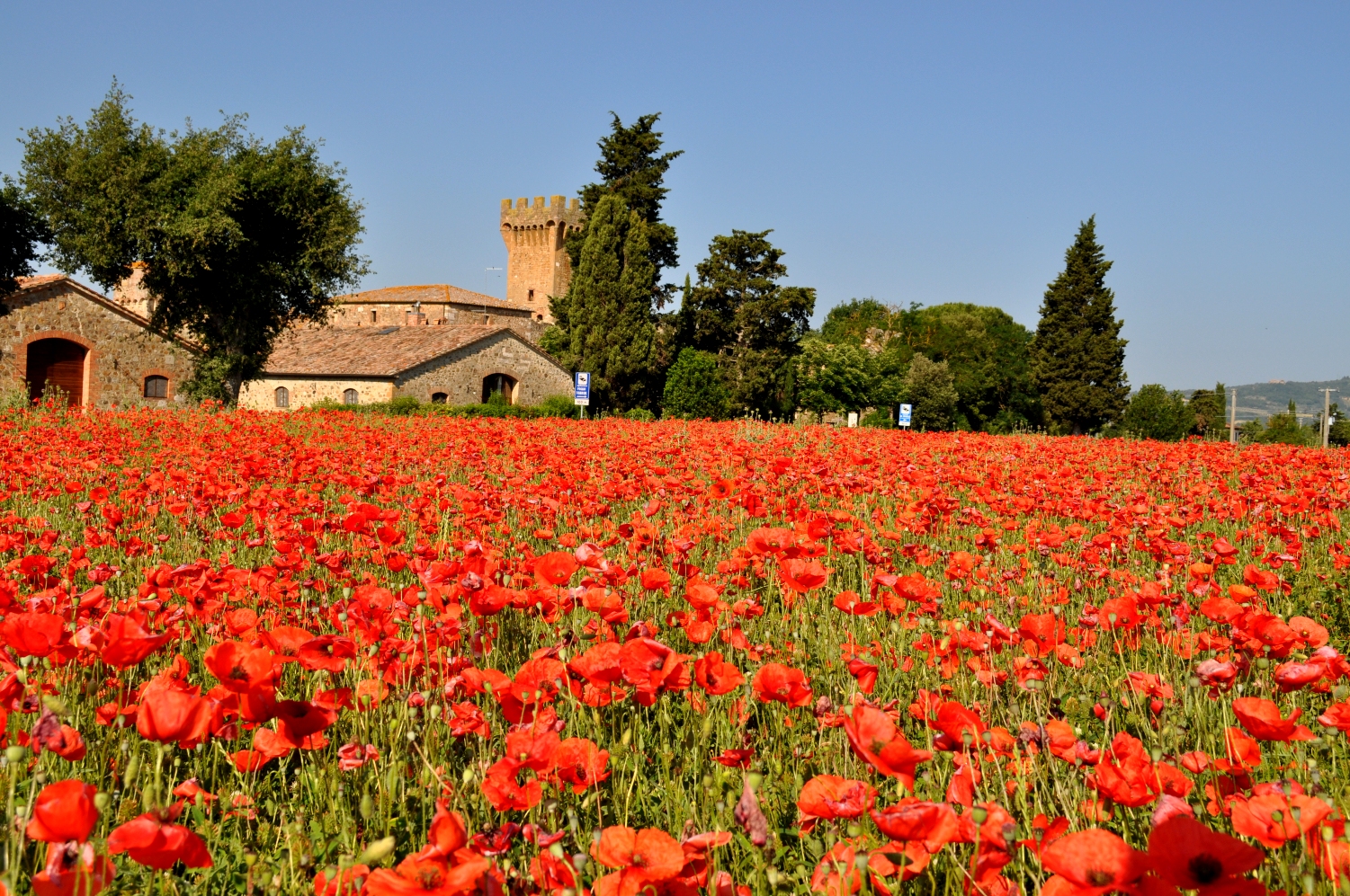 Val d'Orcia in rosso