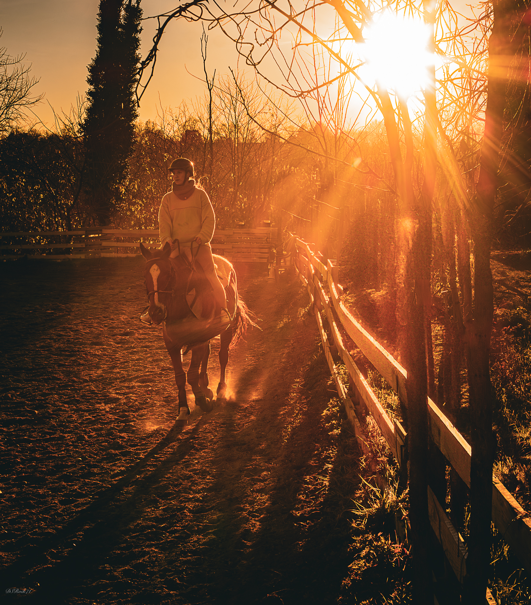 Tramonto a cavallo