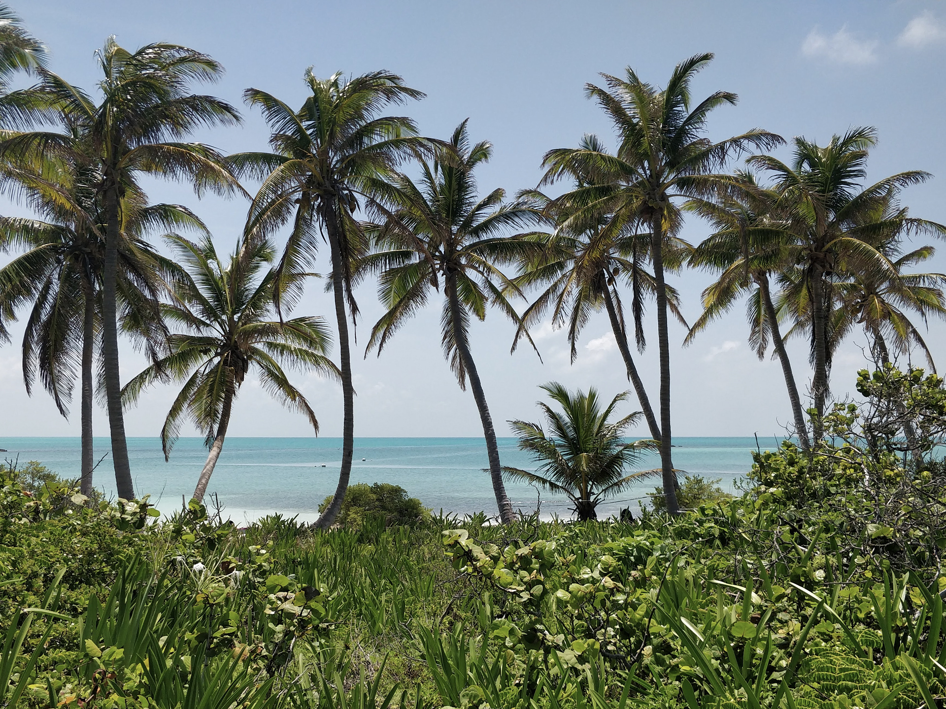 Paesaggio ripreso sull'isola Contoy
