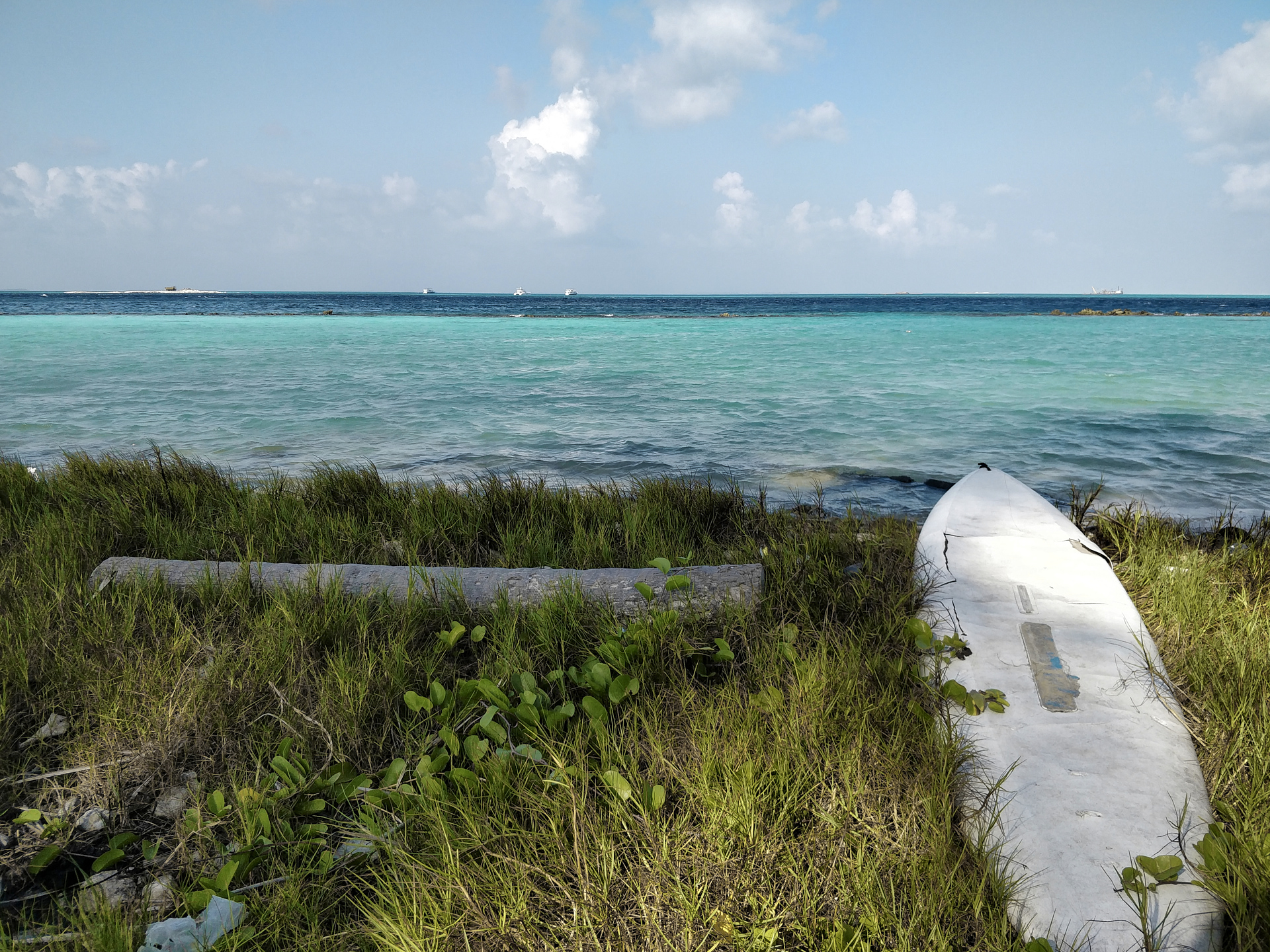 Tavola da surf abbandonata