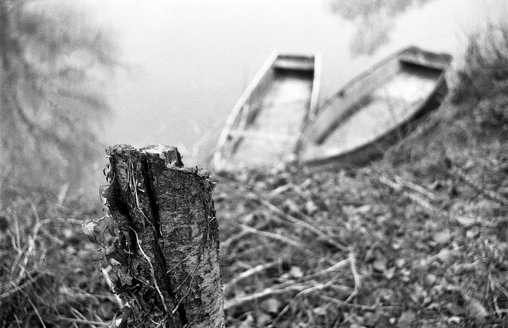 Là dove finisce il fiume comincia il film ;/)