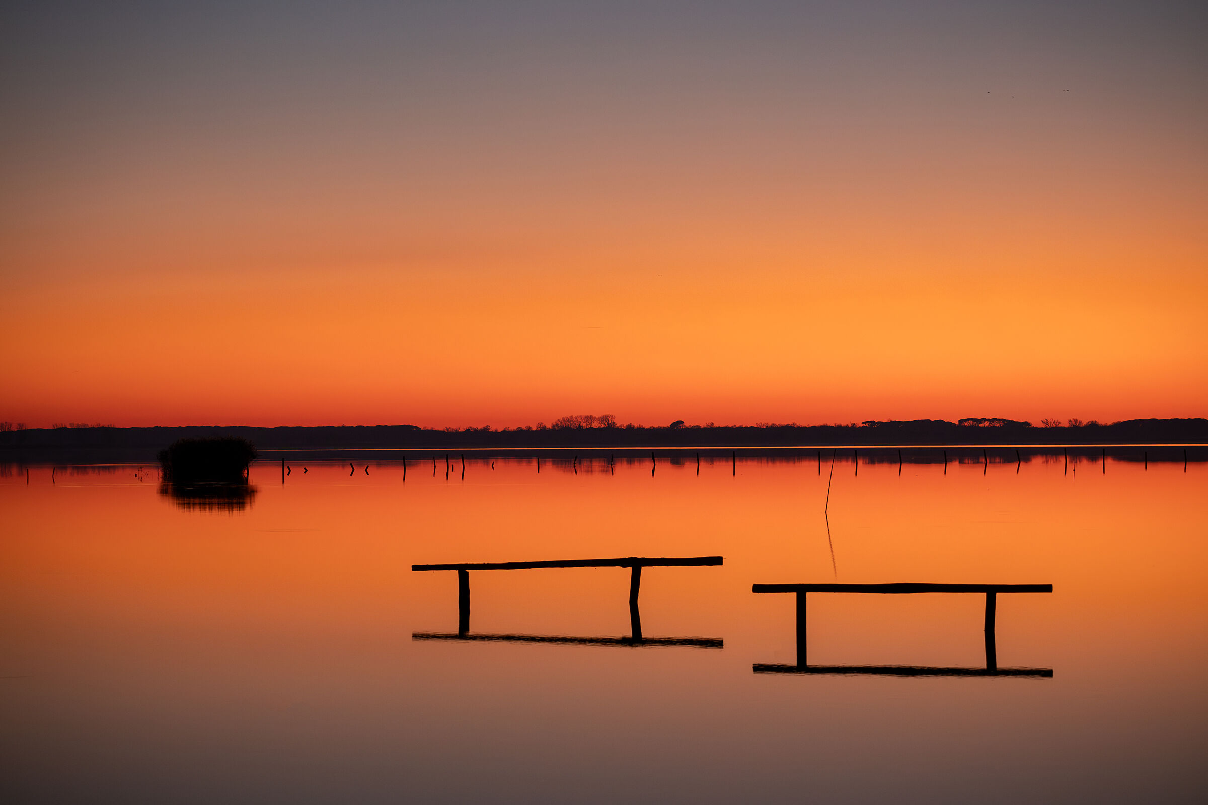 Lago di Massaciuccoli