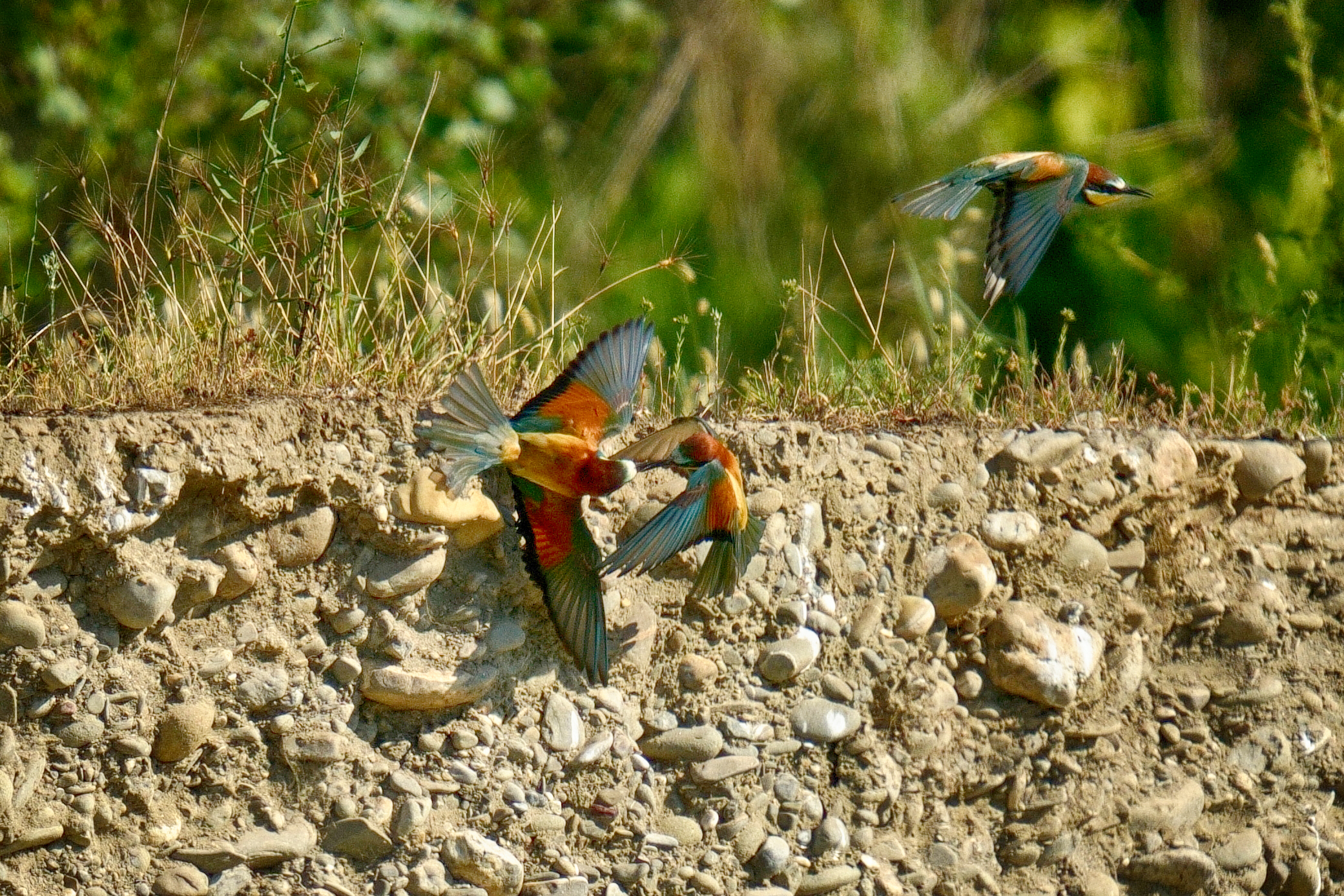 Grucioni Magra River