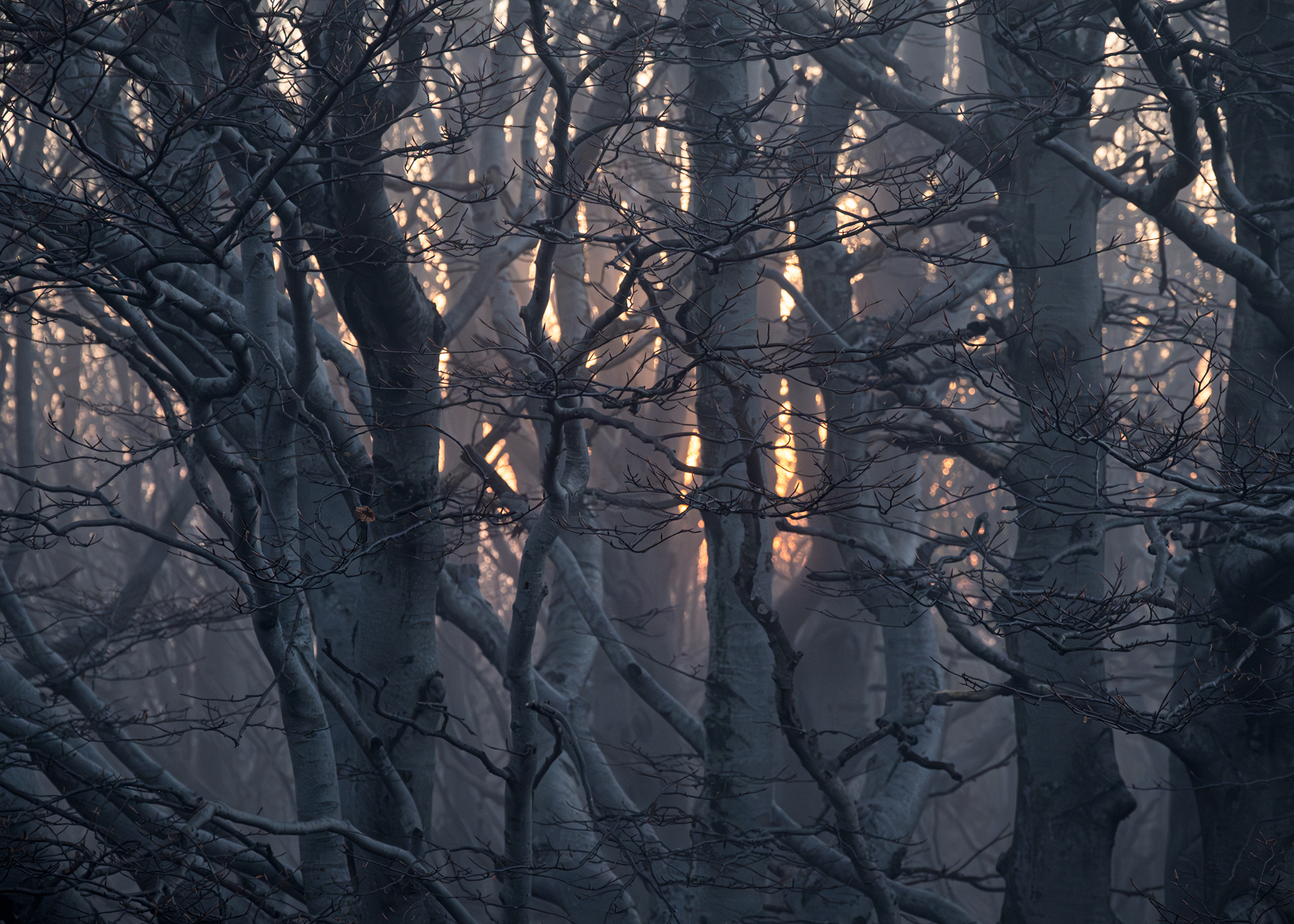 The Threshold