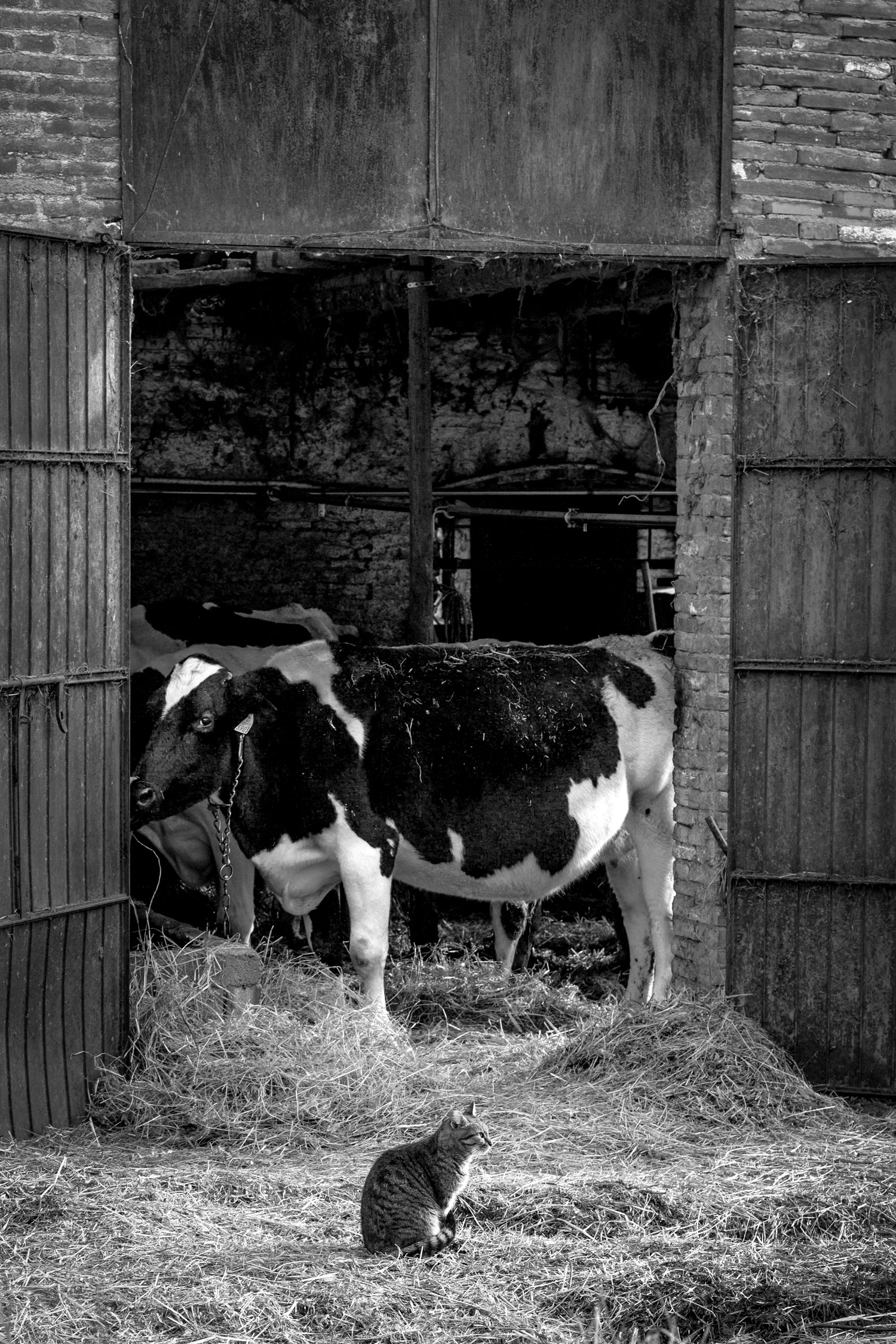 Attenzione e indifferenza