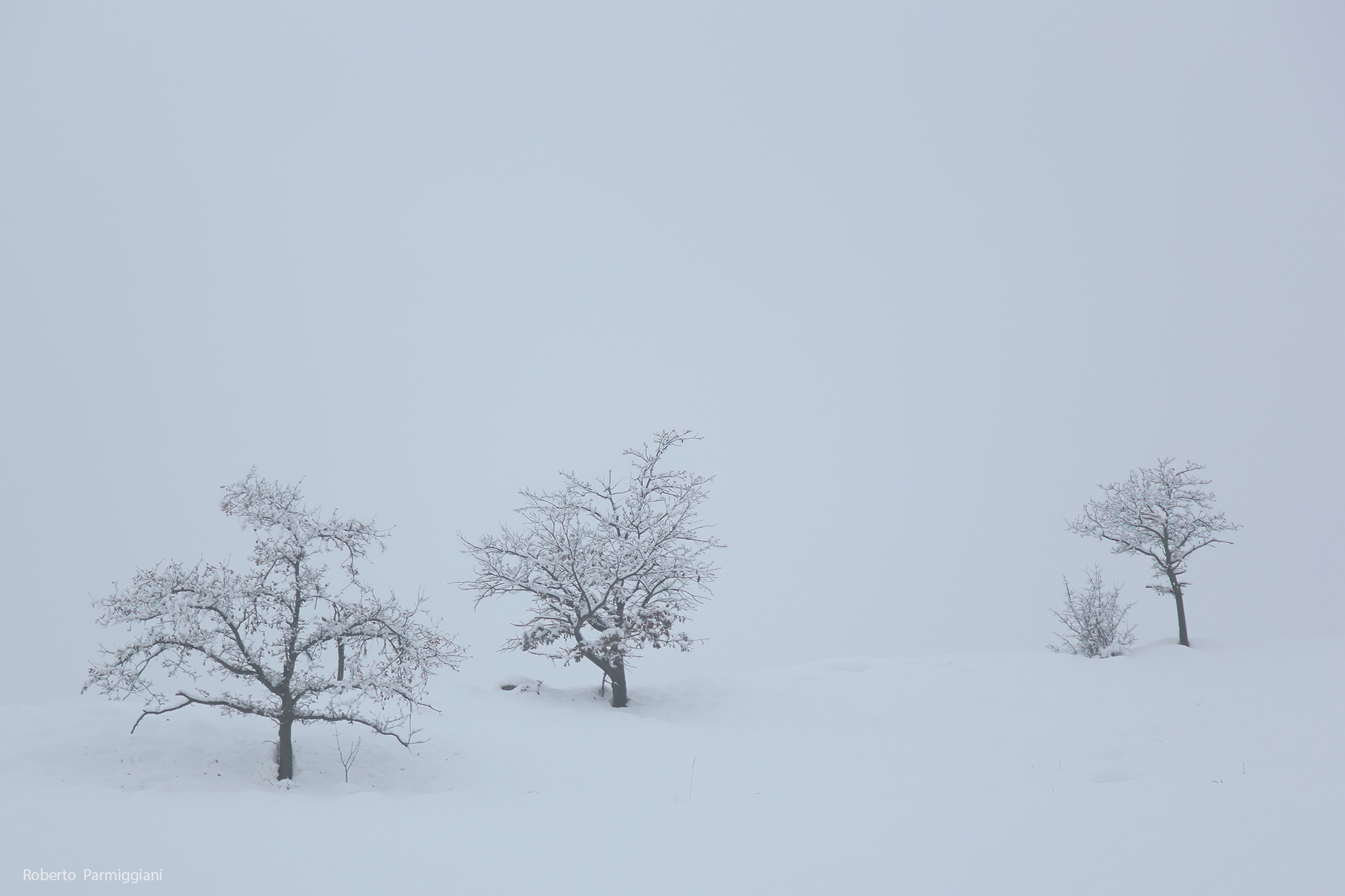 Silenzio bianco