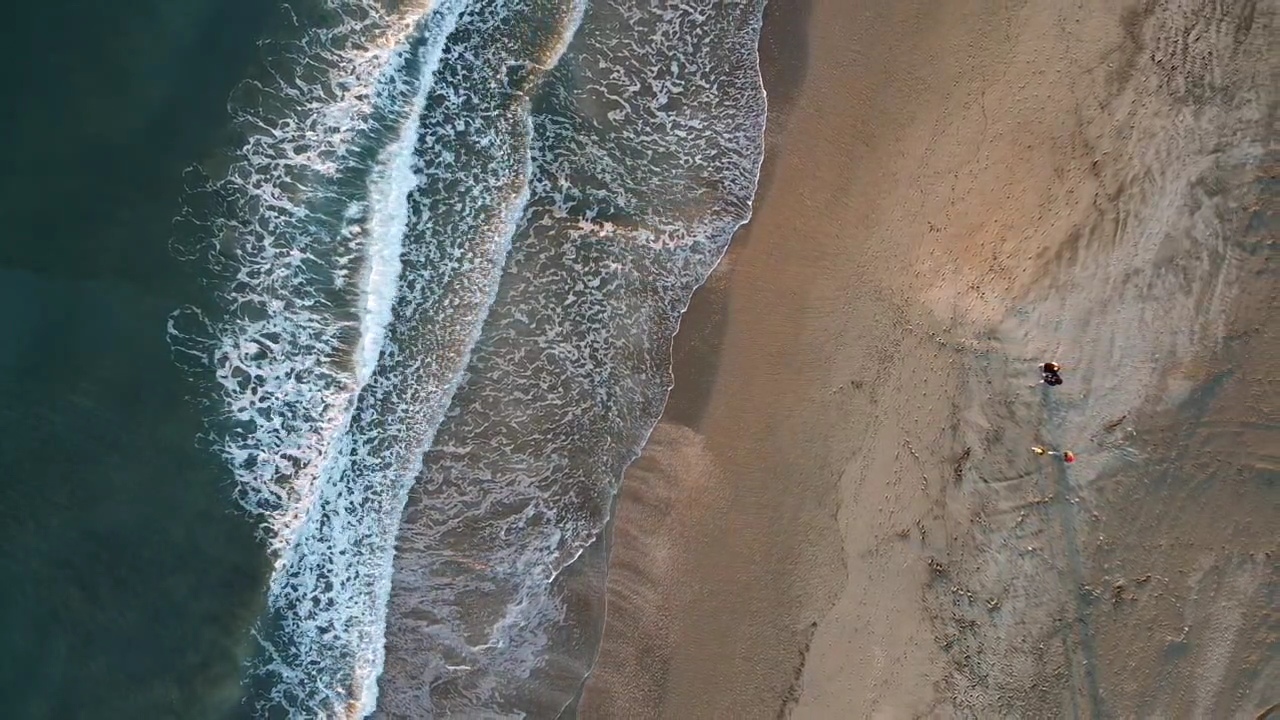 The Majesty of the Sea.